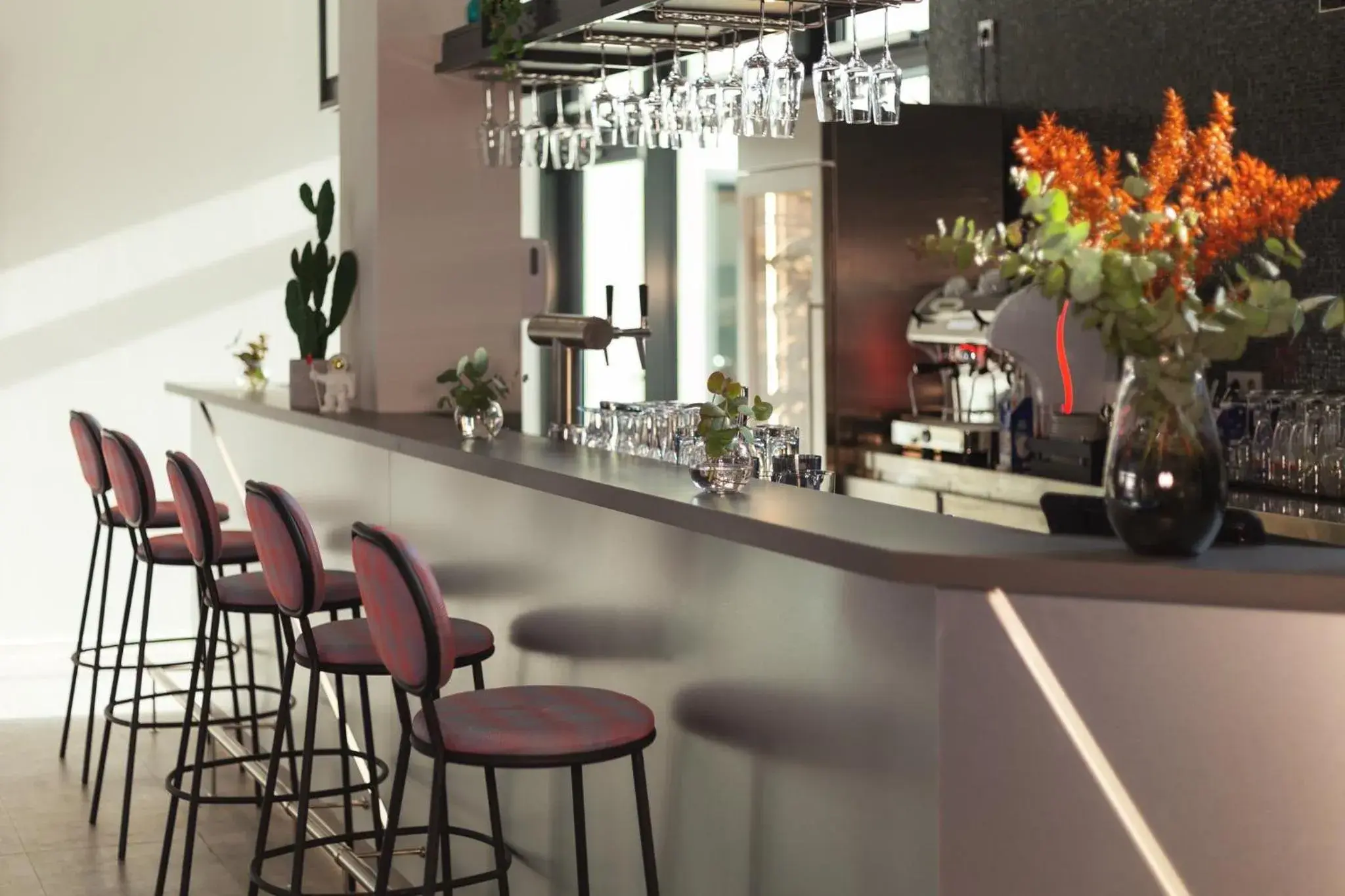 Lounge or bar in the niu Star Lounge or bar in the niu Star