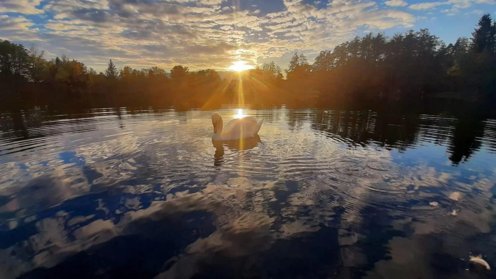 Lake view in Hotel Seestuben