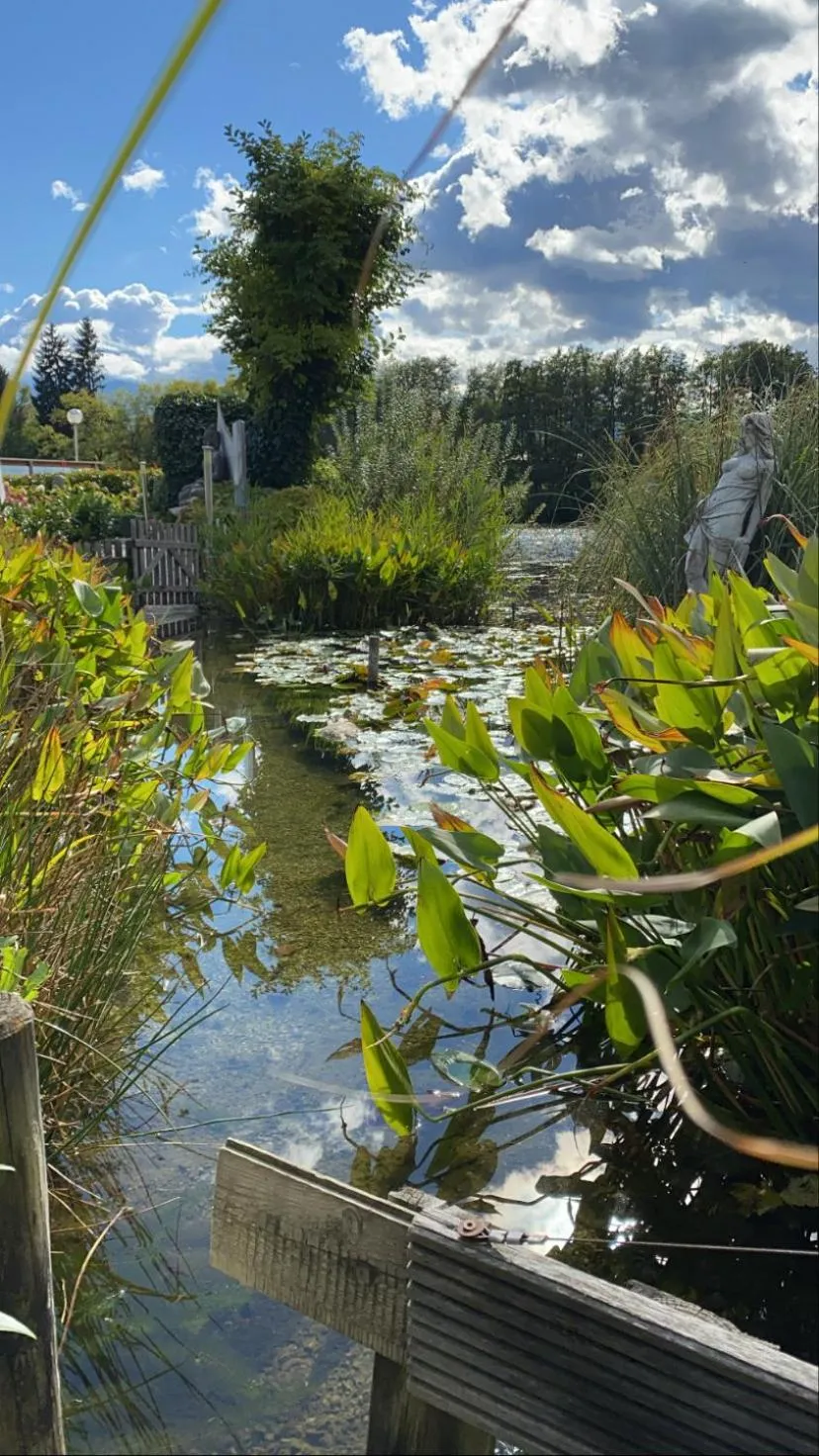 Sauna in Hotel Seestuben