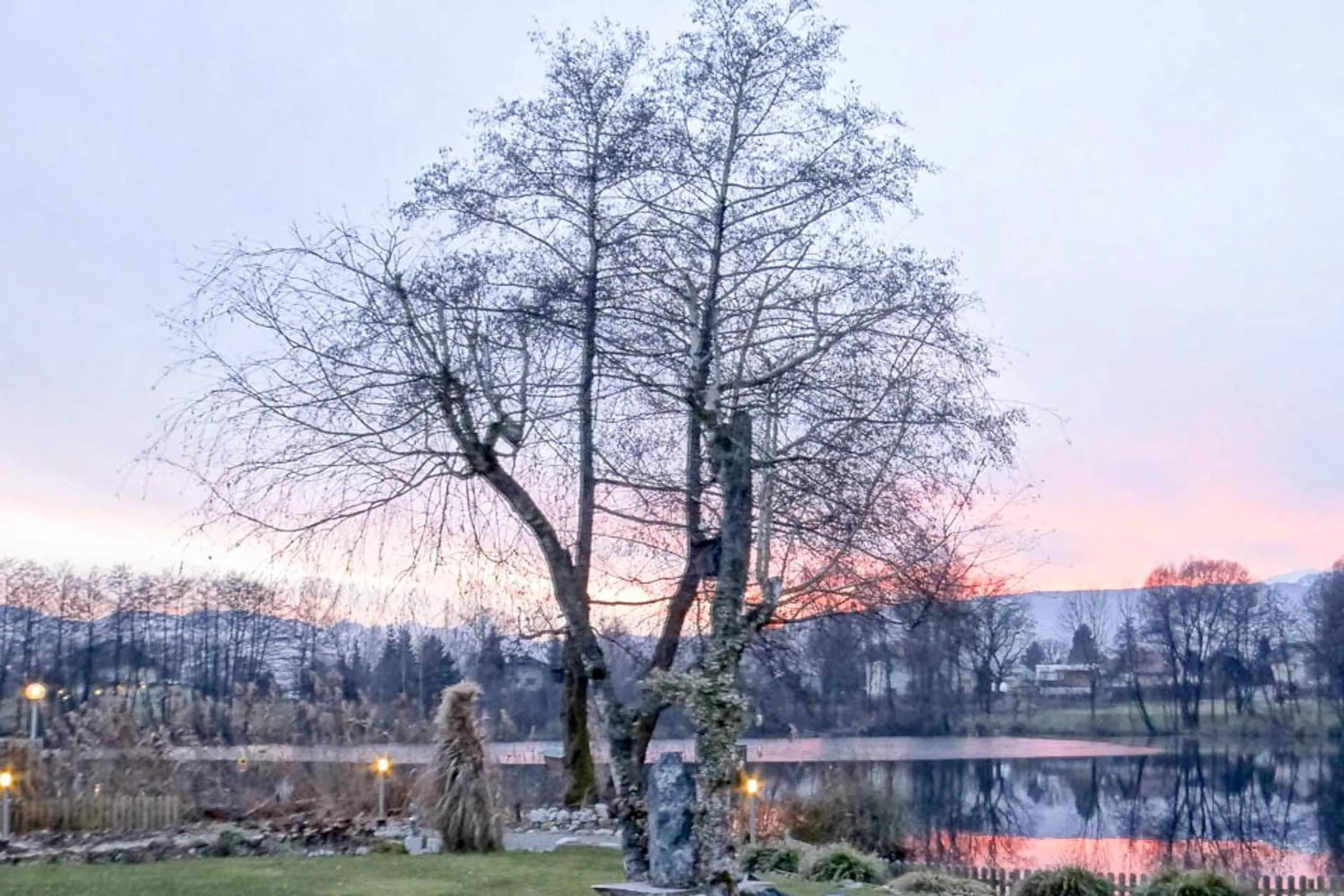 Garden in Hotel Seestuben