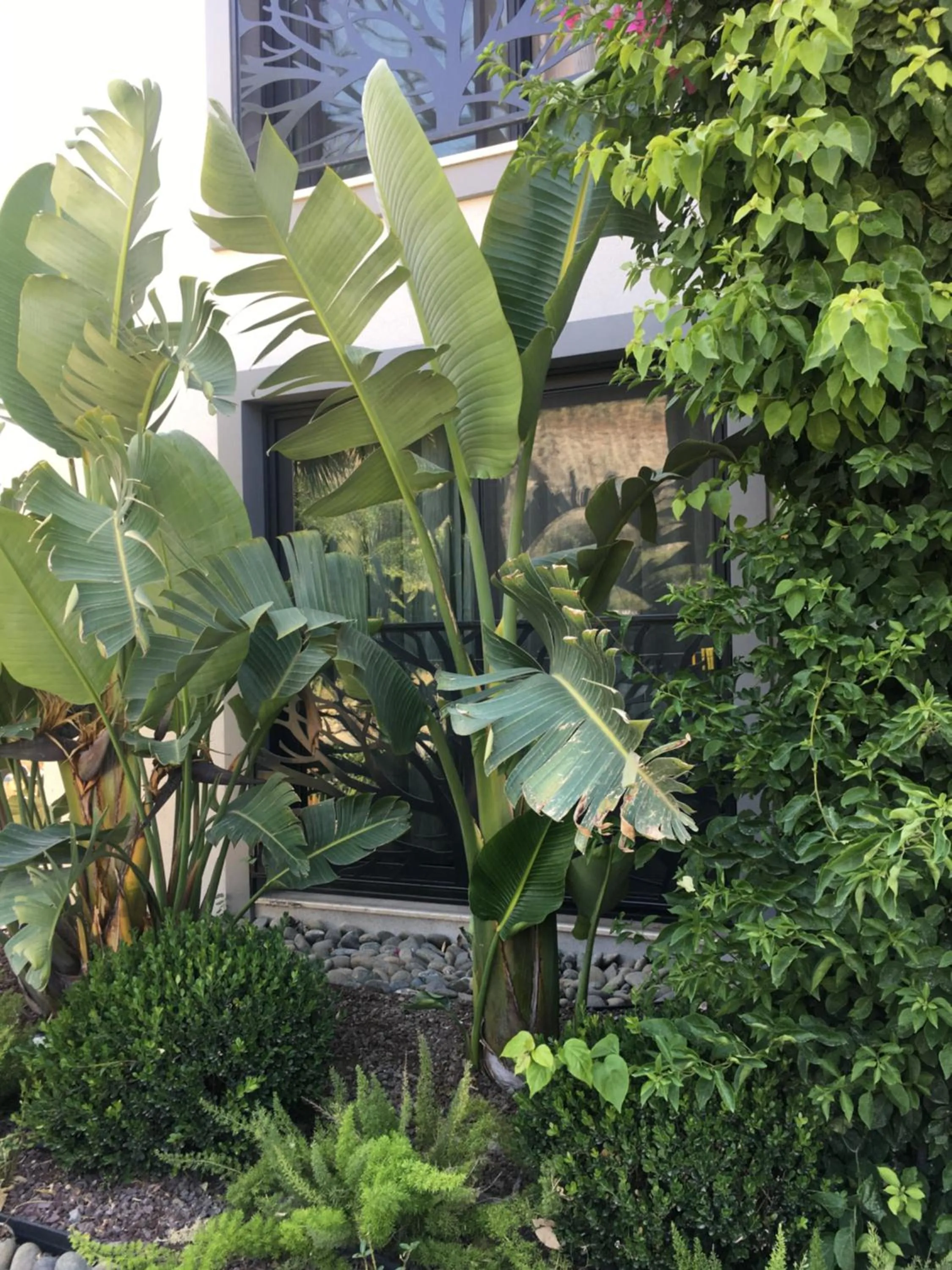 View (from property/room) in Villa Oliva Butik Hotel