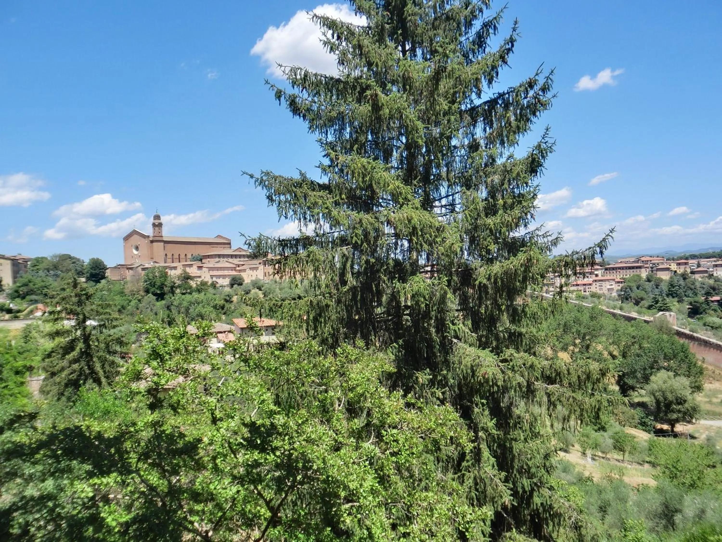 Activities in B&B Pantaneto - Palazzo Bulgarini