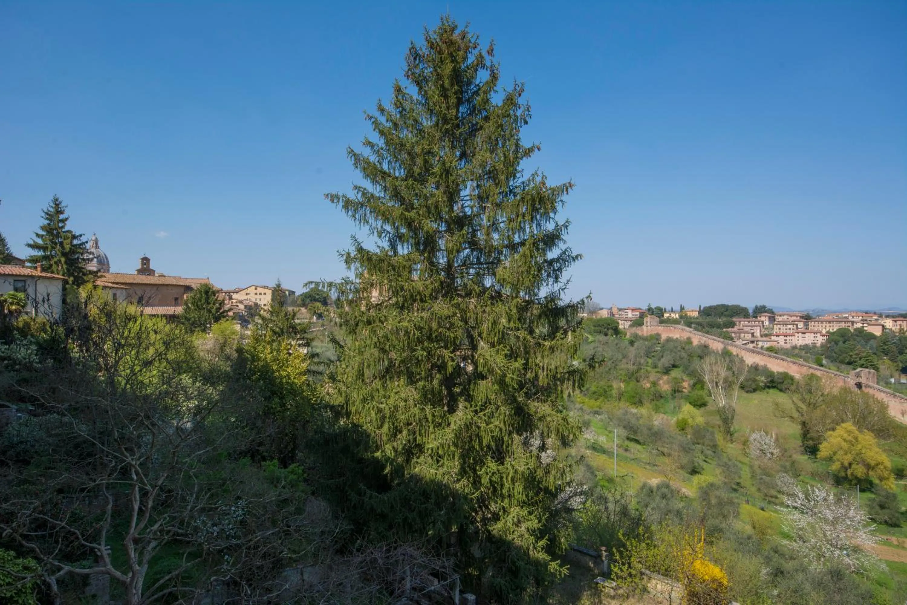 Garden view in B&B Pantaneto - Palazzo Bulgarini