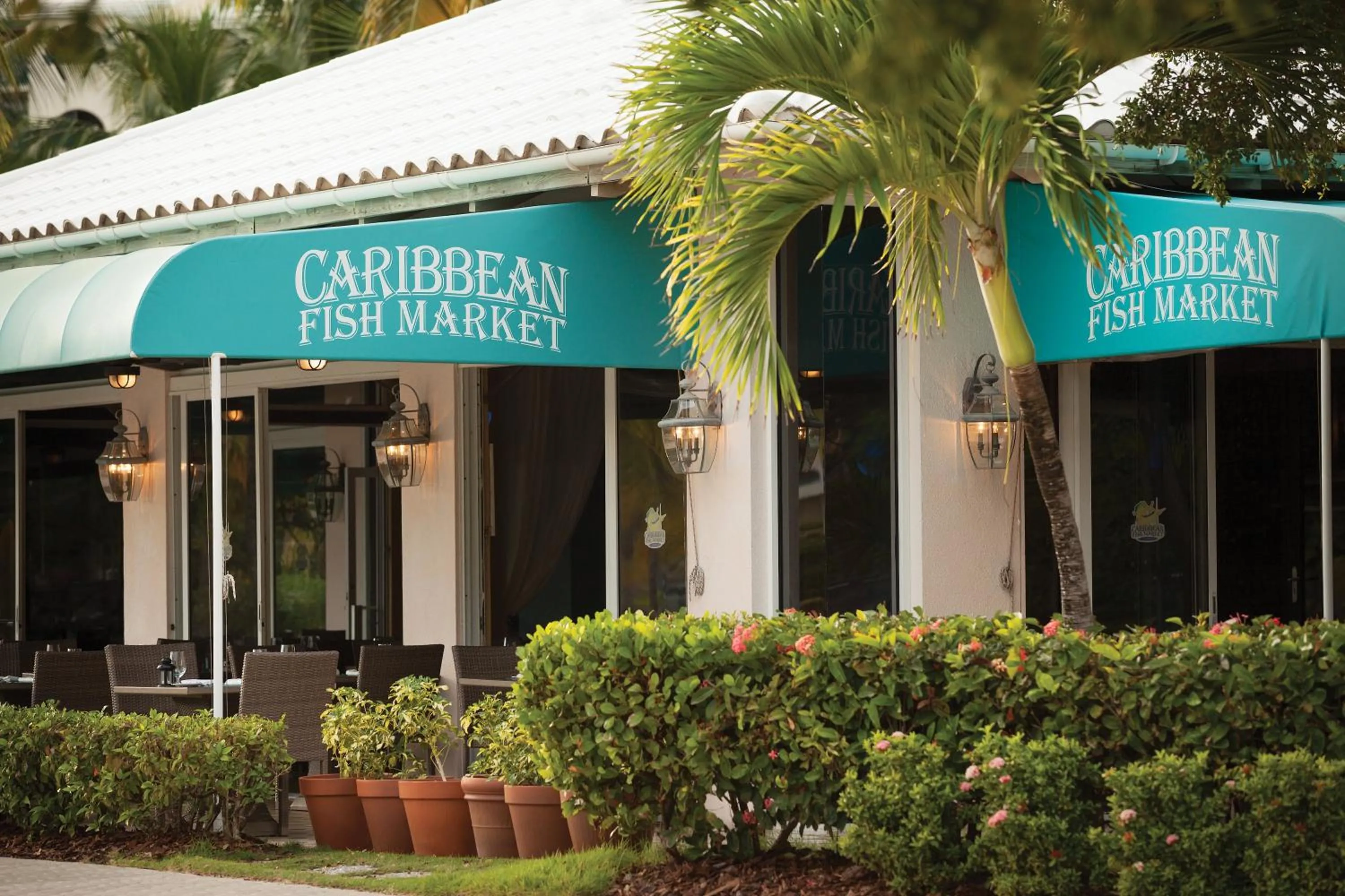 Restaurant/places to eat in Elysian Beach Resort