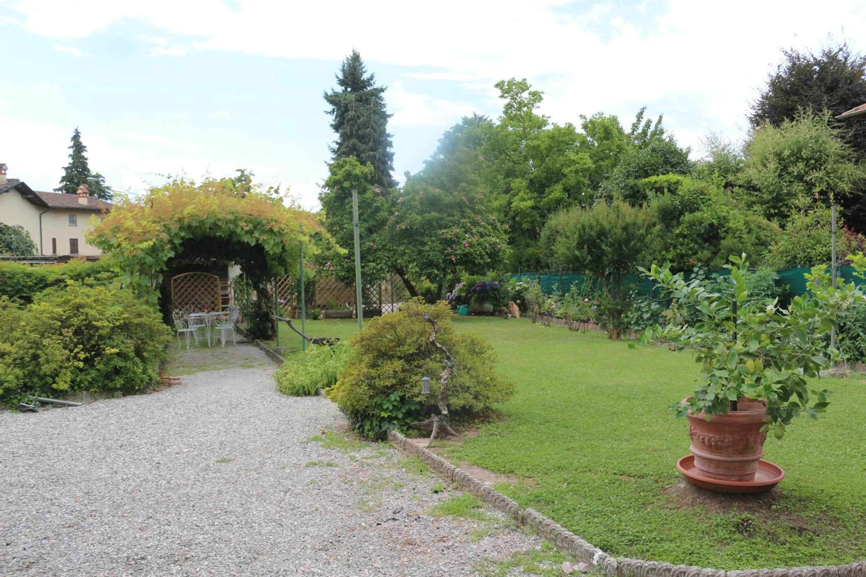 Garden in Dragonfly Appartamento Blu