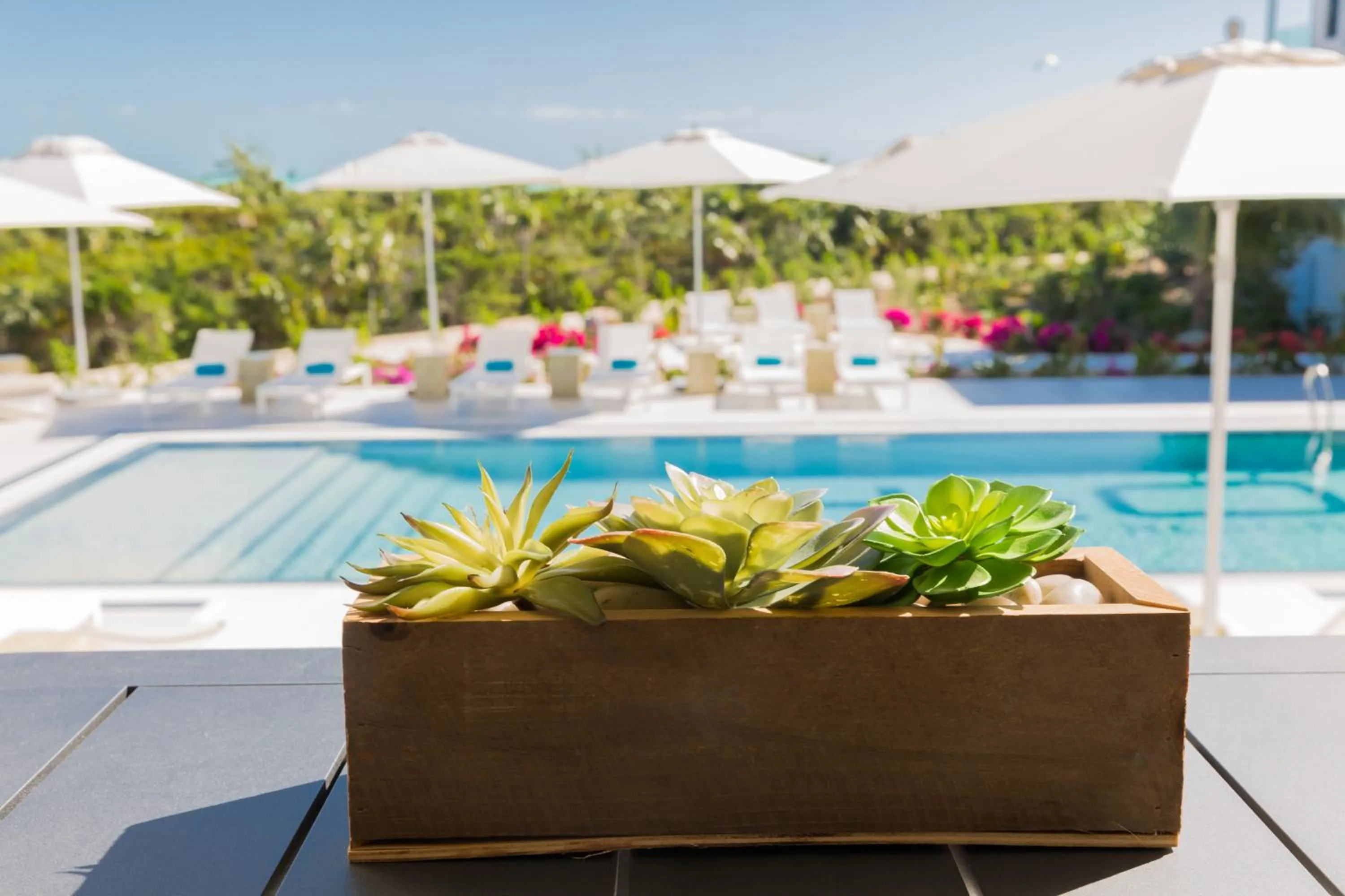 Garden view in H2O life style resort