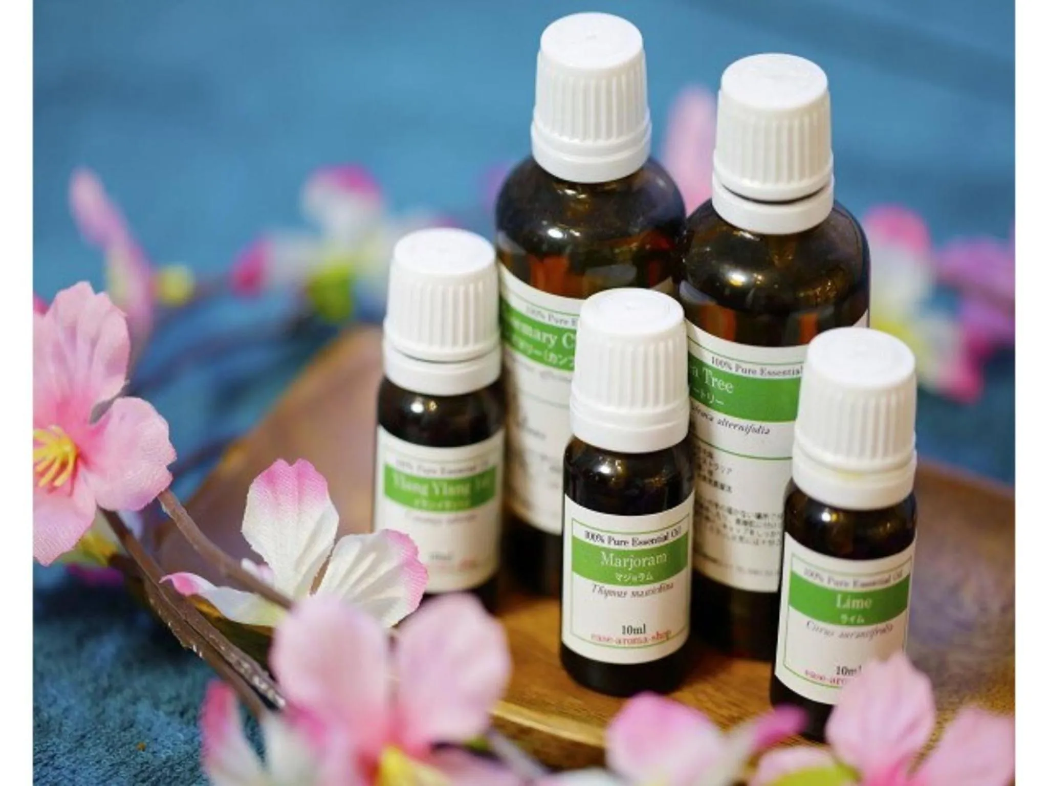 Tokyo Inn - Vacation STAY 11128v