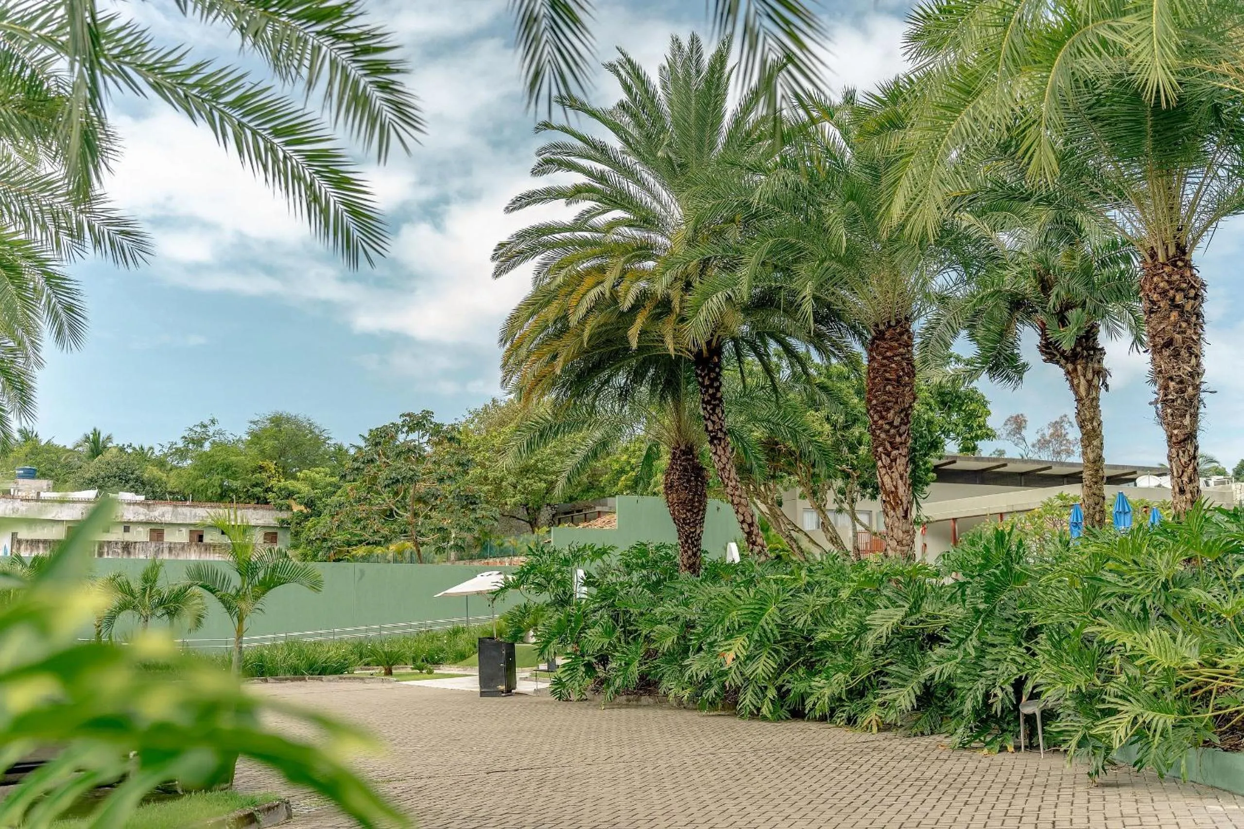 Area and facilities in Flat Ile de Pipa Premium Maui by Qavi