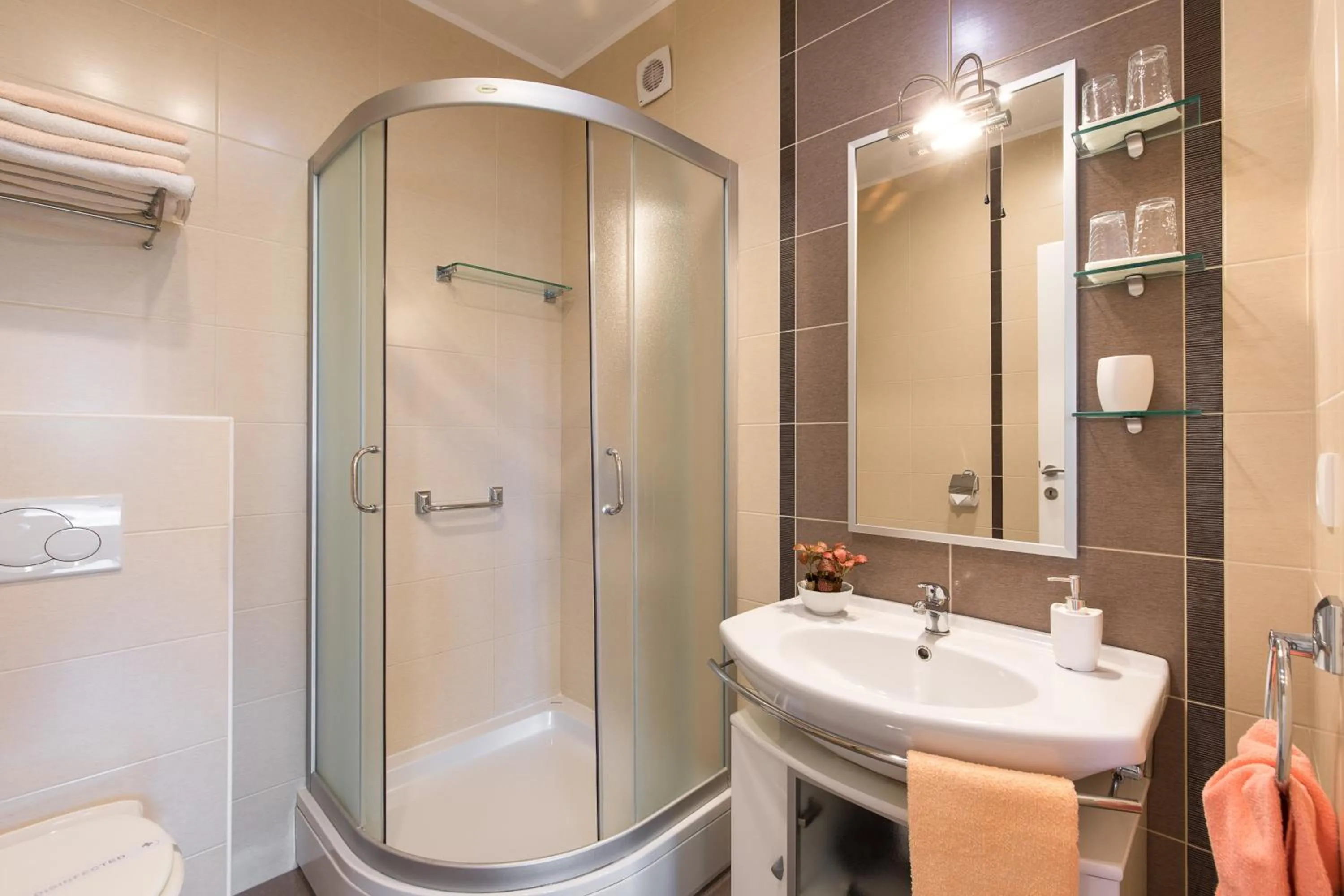 Shower in Apartmani Alma