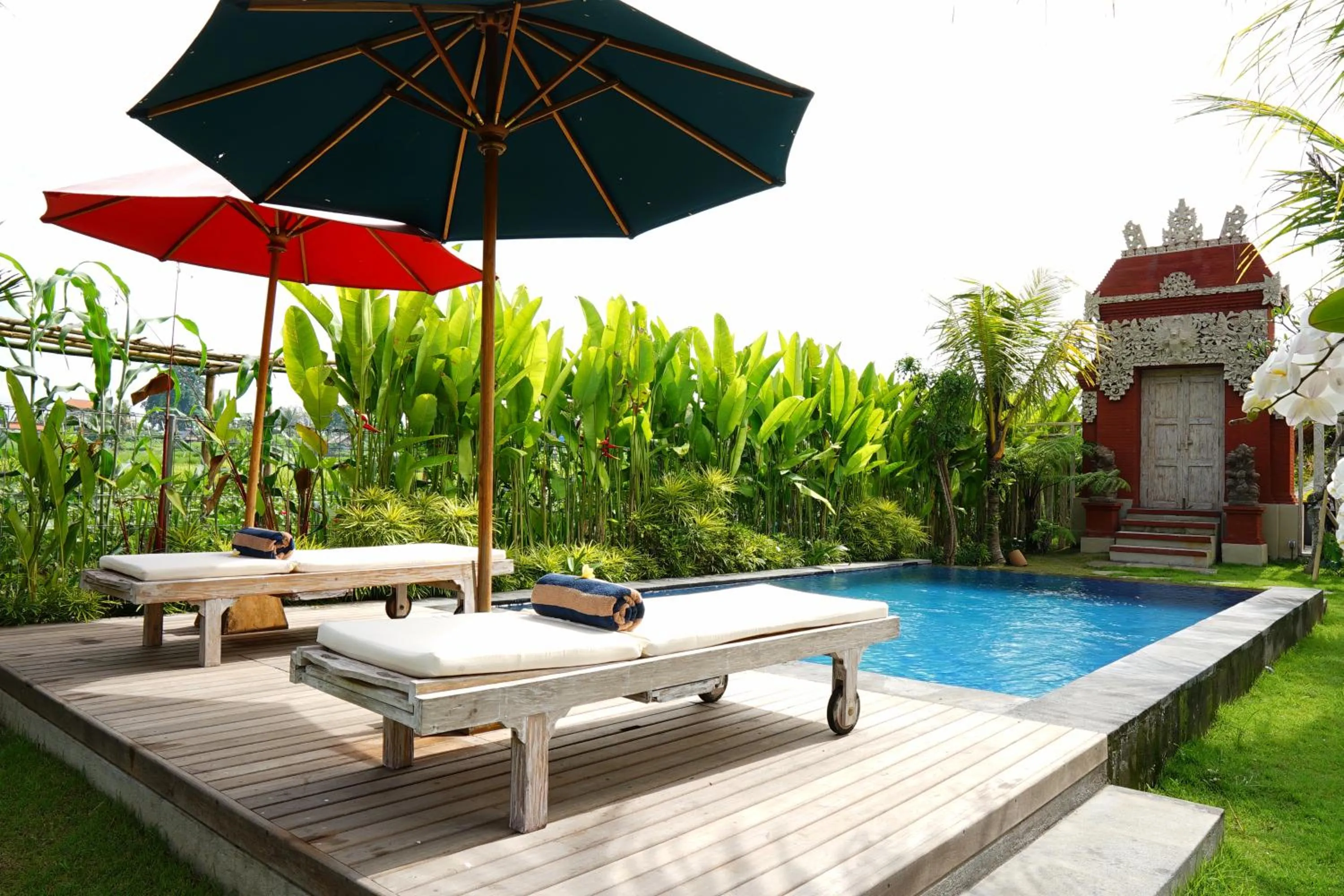 Swimming pool in Nauna Villa Bali