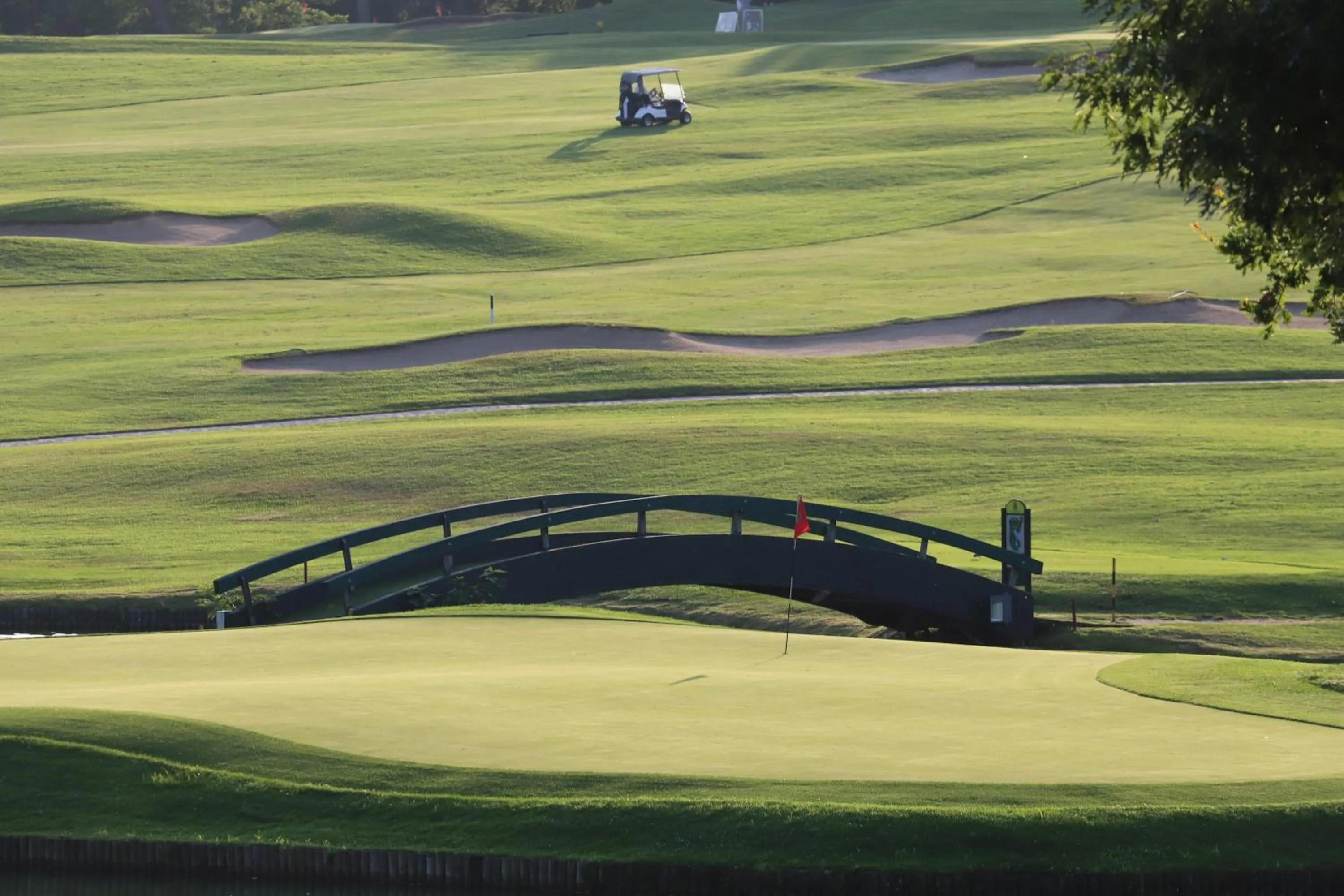 Golfcourse in Golf Hotel Castelconturbia