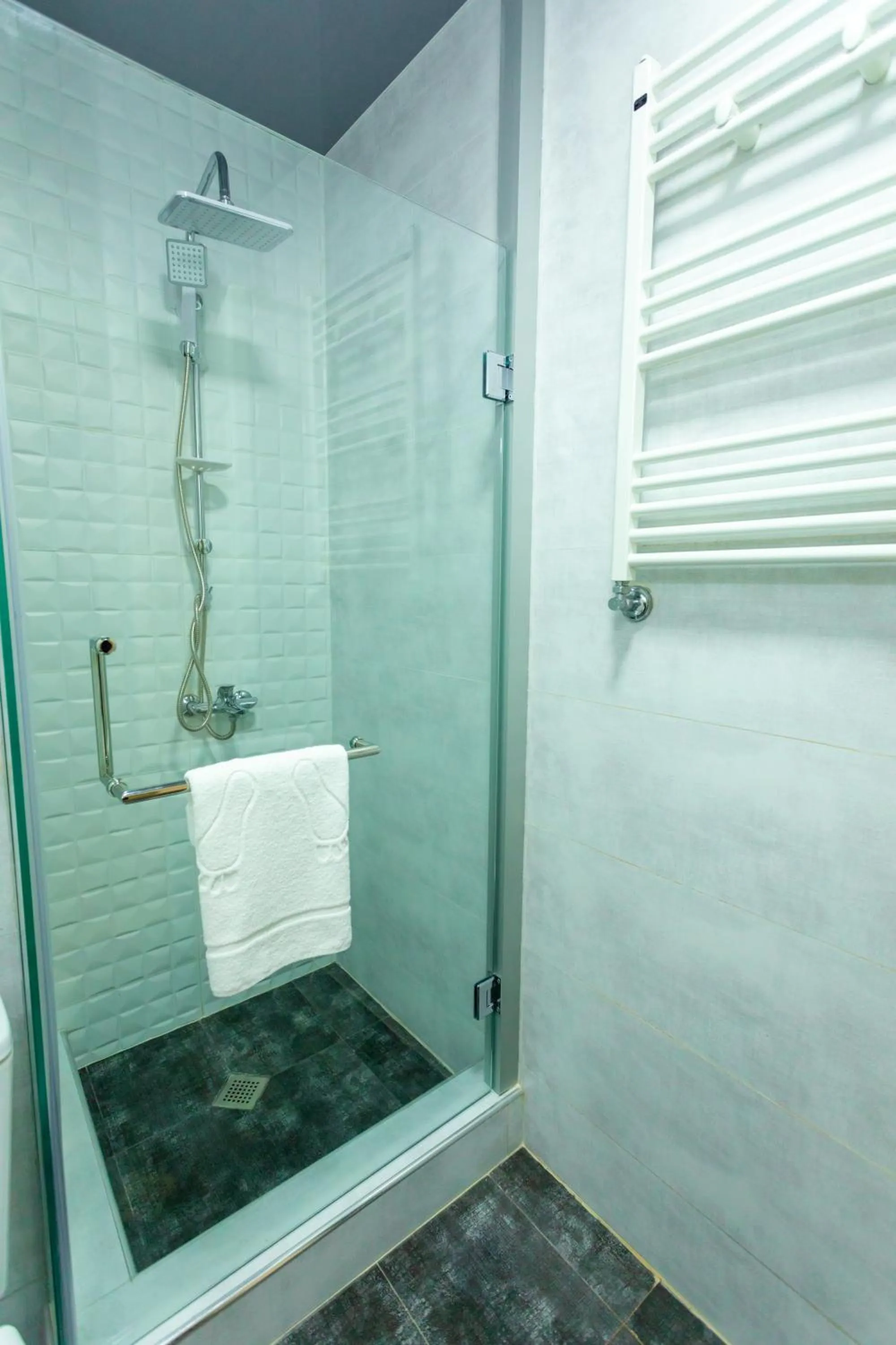 Shower in Hotel Rustaveli