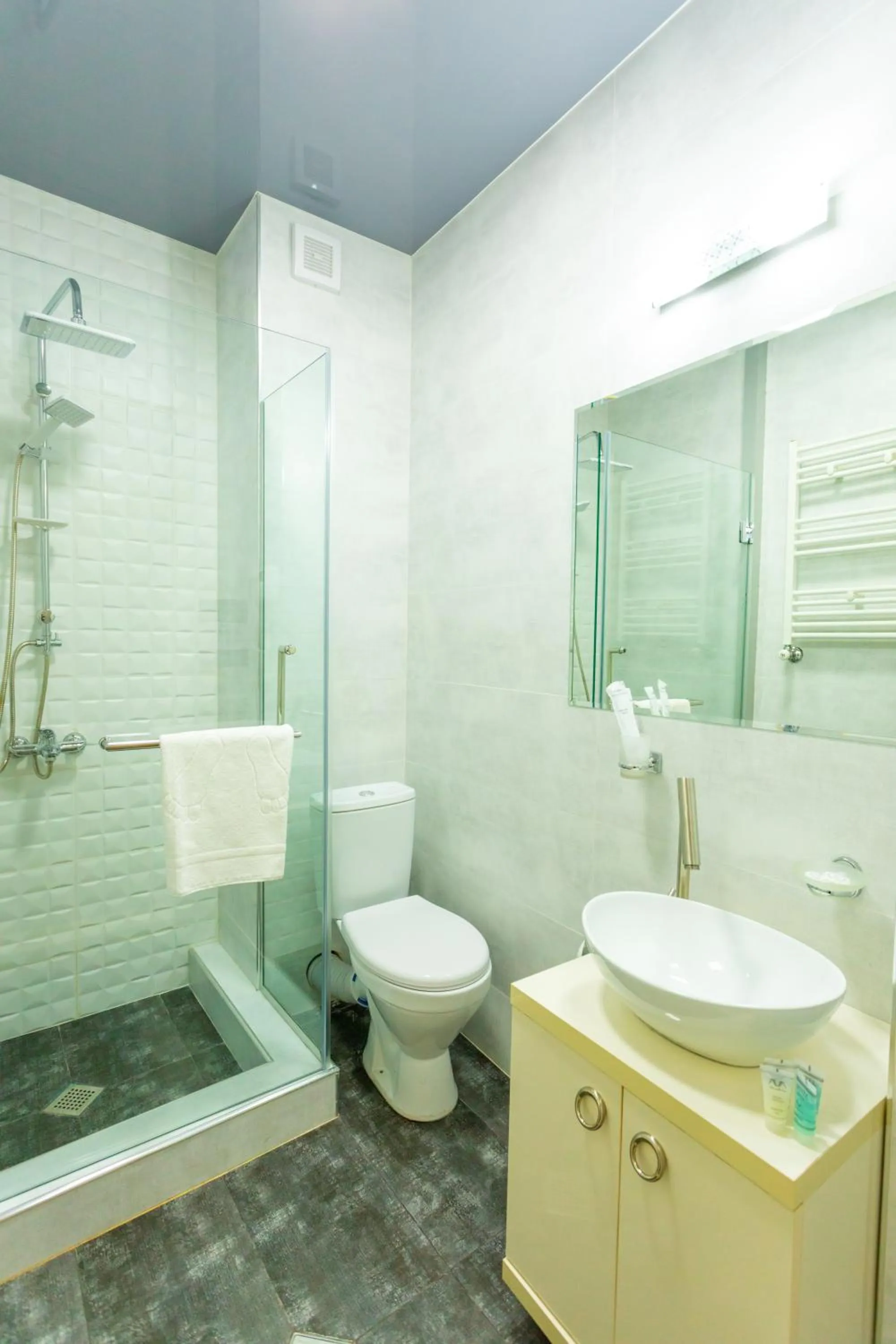 Shower in Hotel Rustaveli