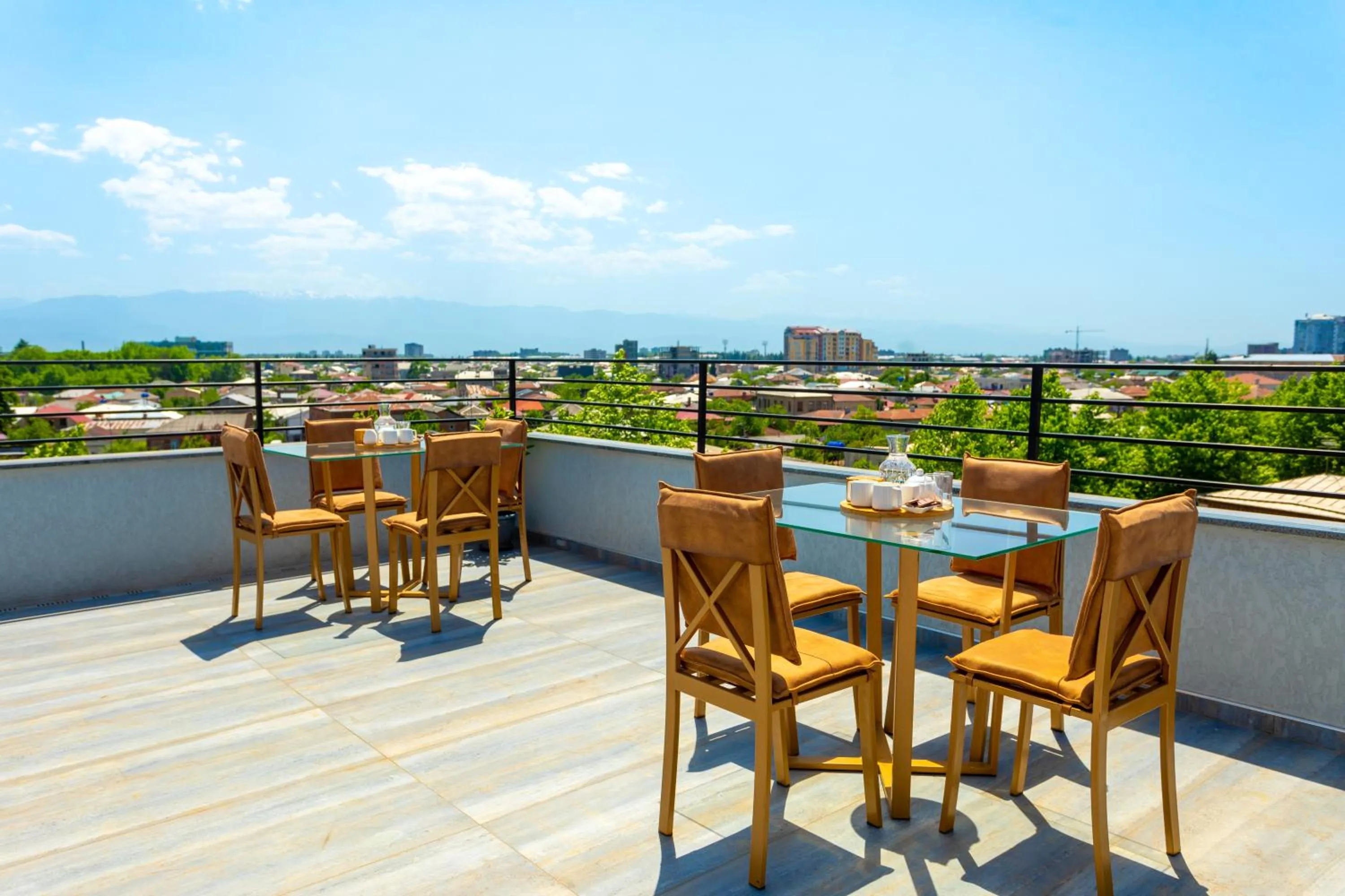 Balcony/Terrace in Hotel Rustaveli