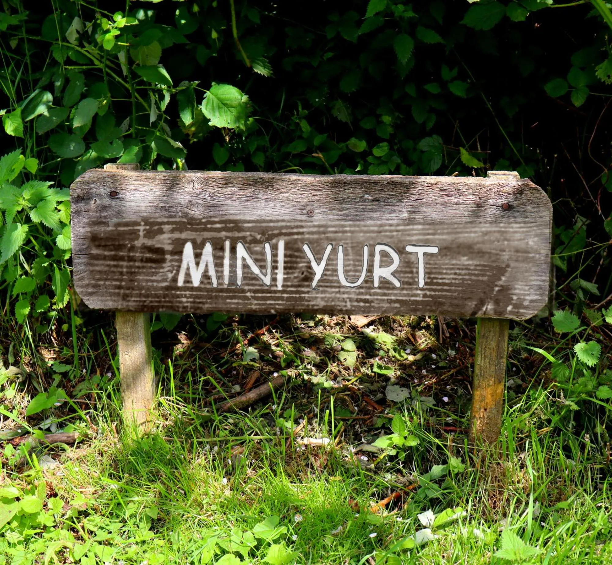 South Downs Eco Lodge & Camping