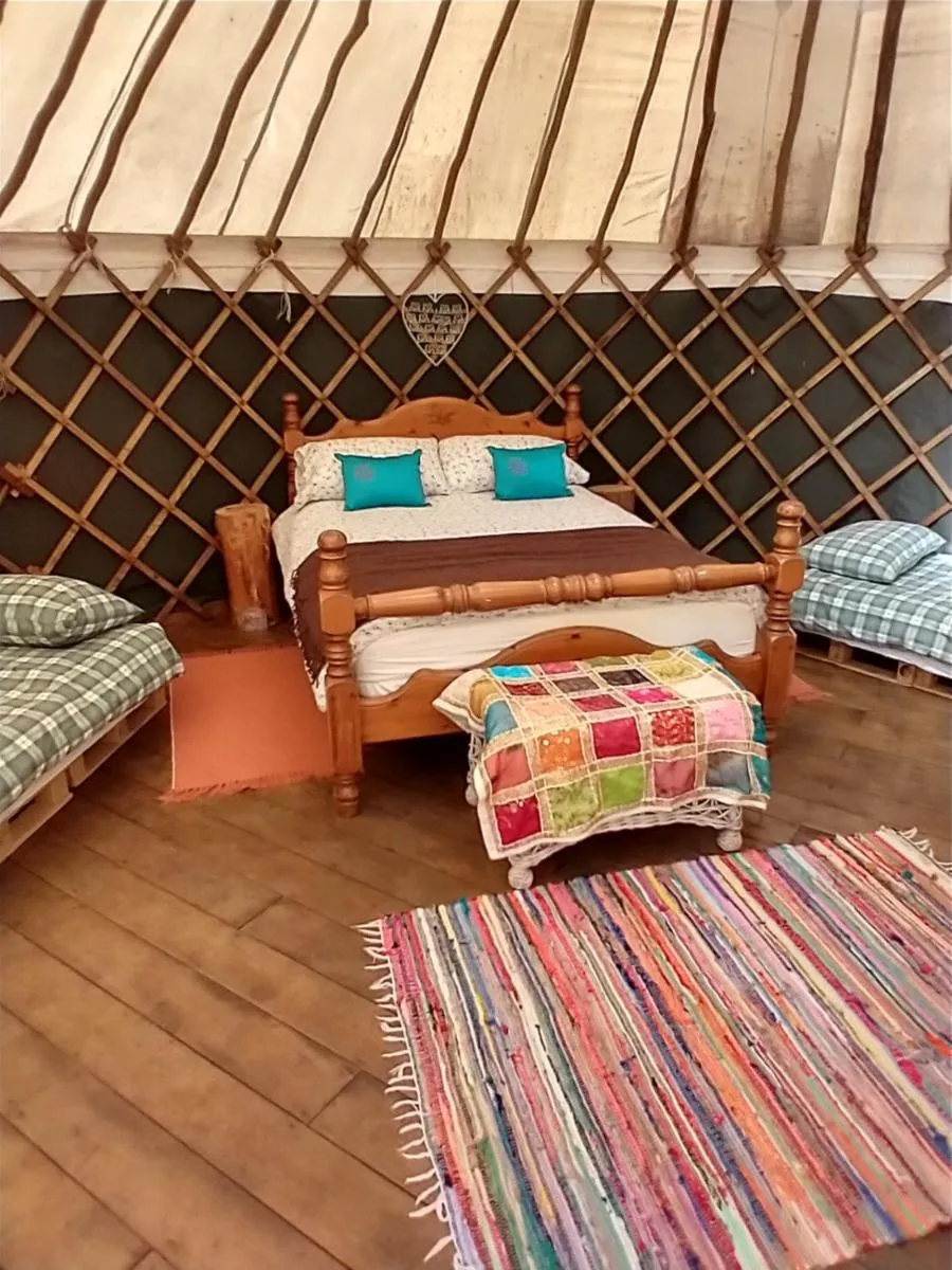 Bed in South Downs Eco Lodge & Camping
