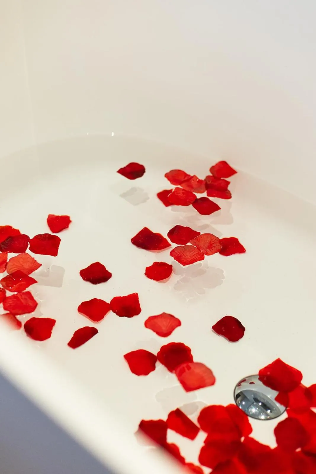 Boutique Hotel & Restaurant Frenchie