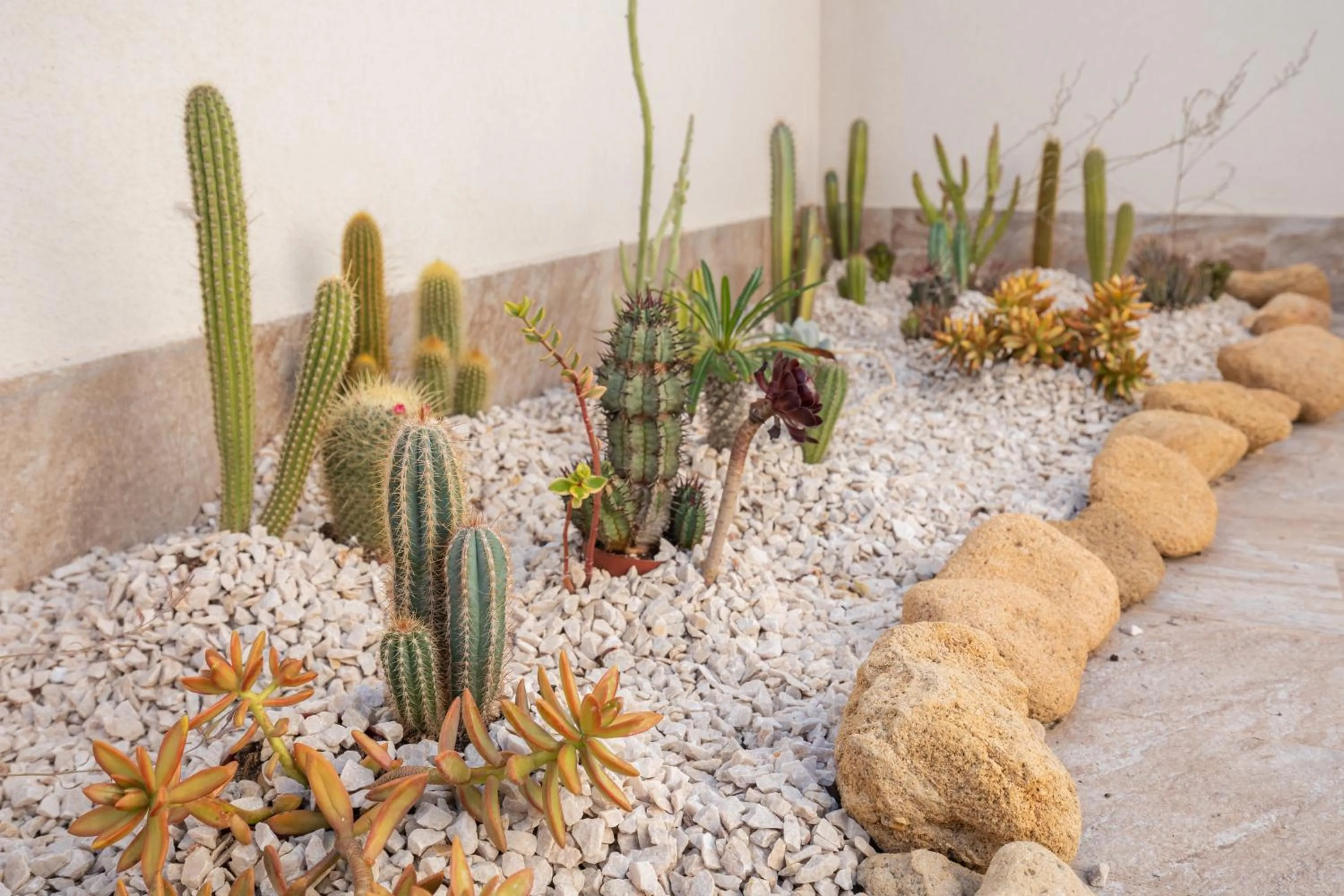 Garden in Volturno3 Suites & more