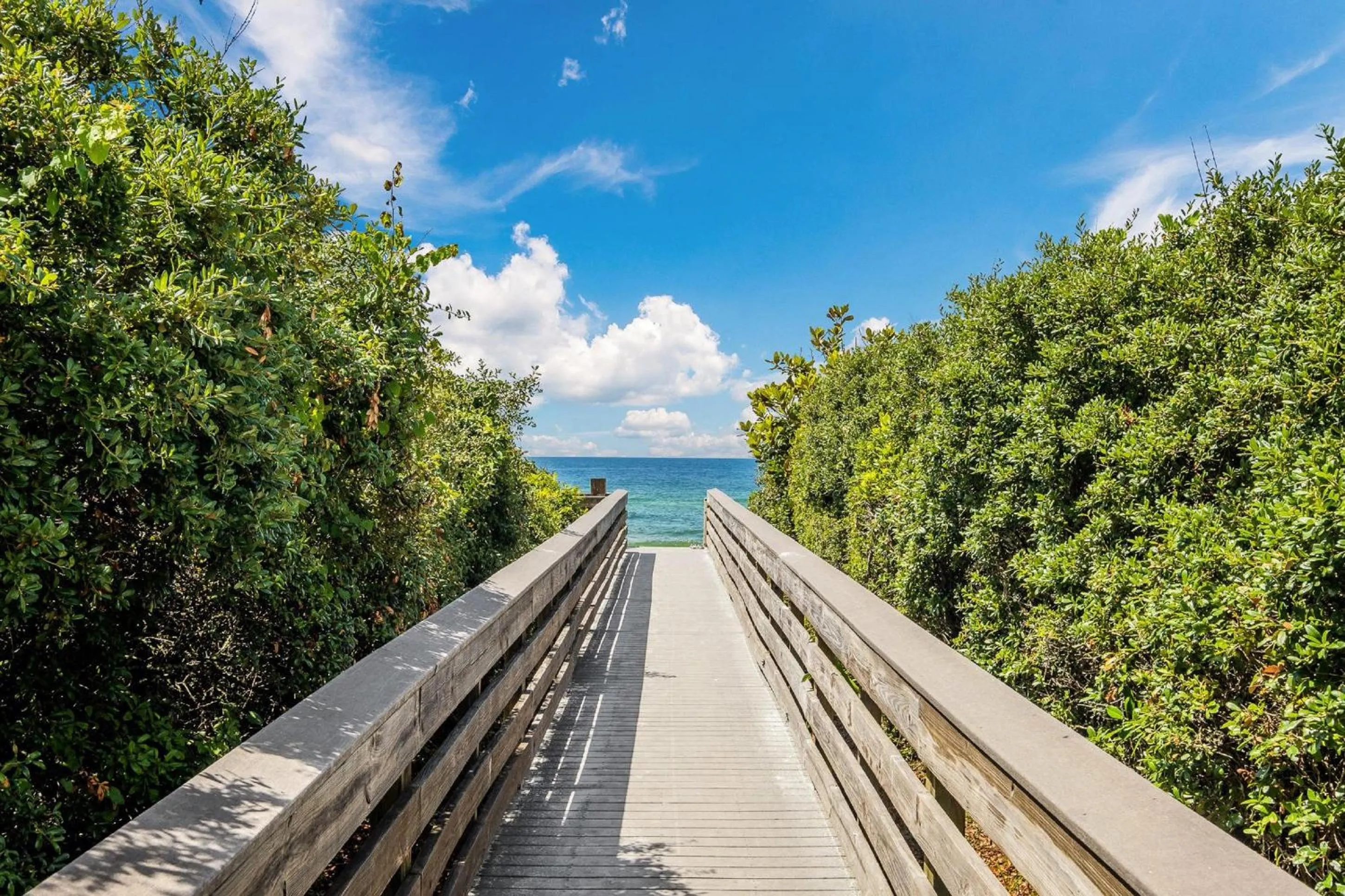 Natural landscape in Seagrove Highlands by Panhandle Getaways