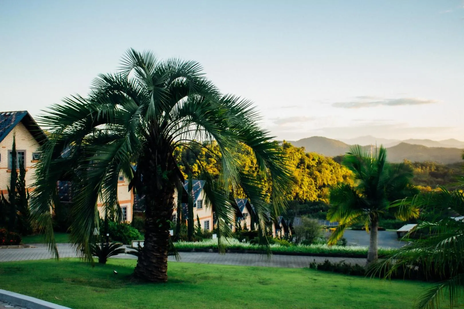 Natural landscape in Resort Ecoar
