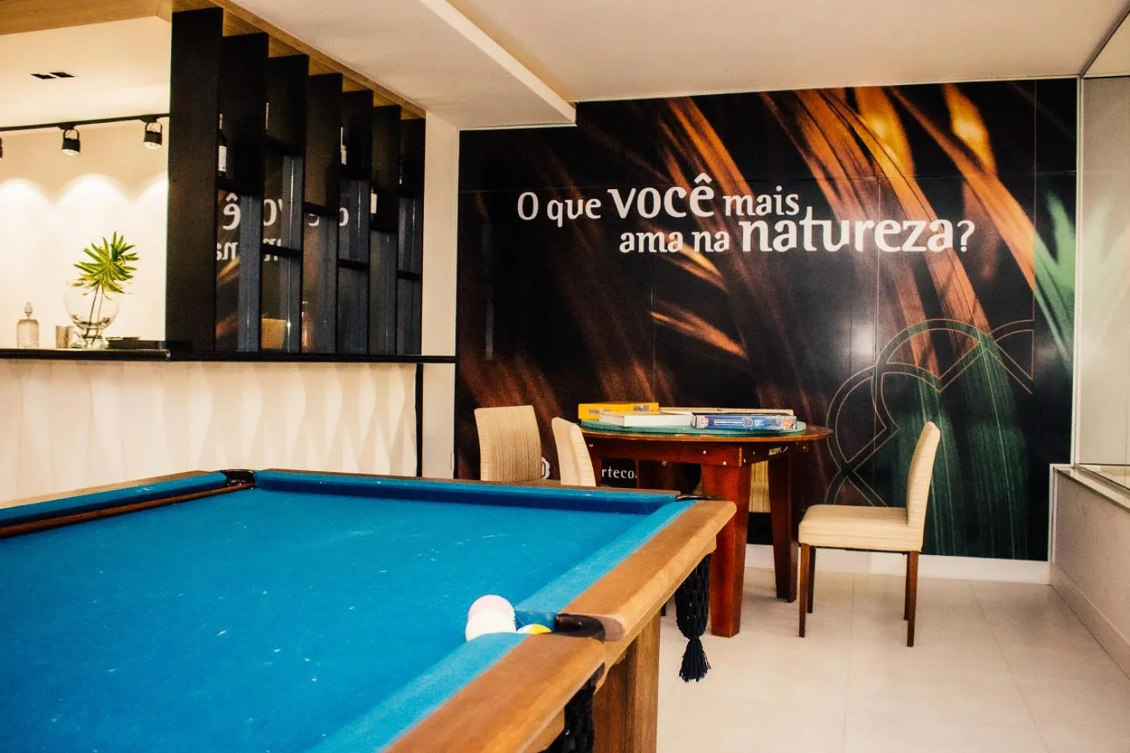 Billiard in Resort Ecoar