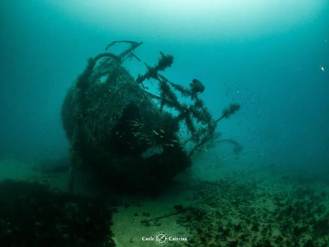 Diving in Pousada Beach Bahia