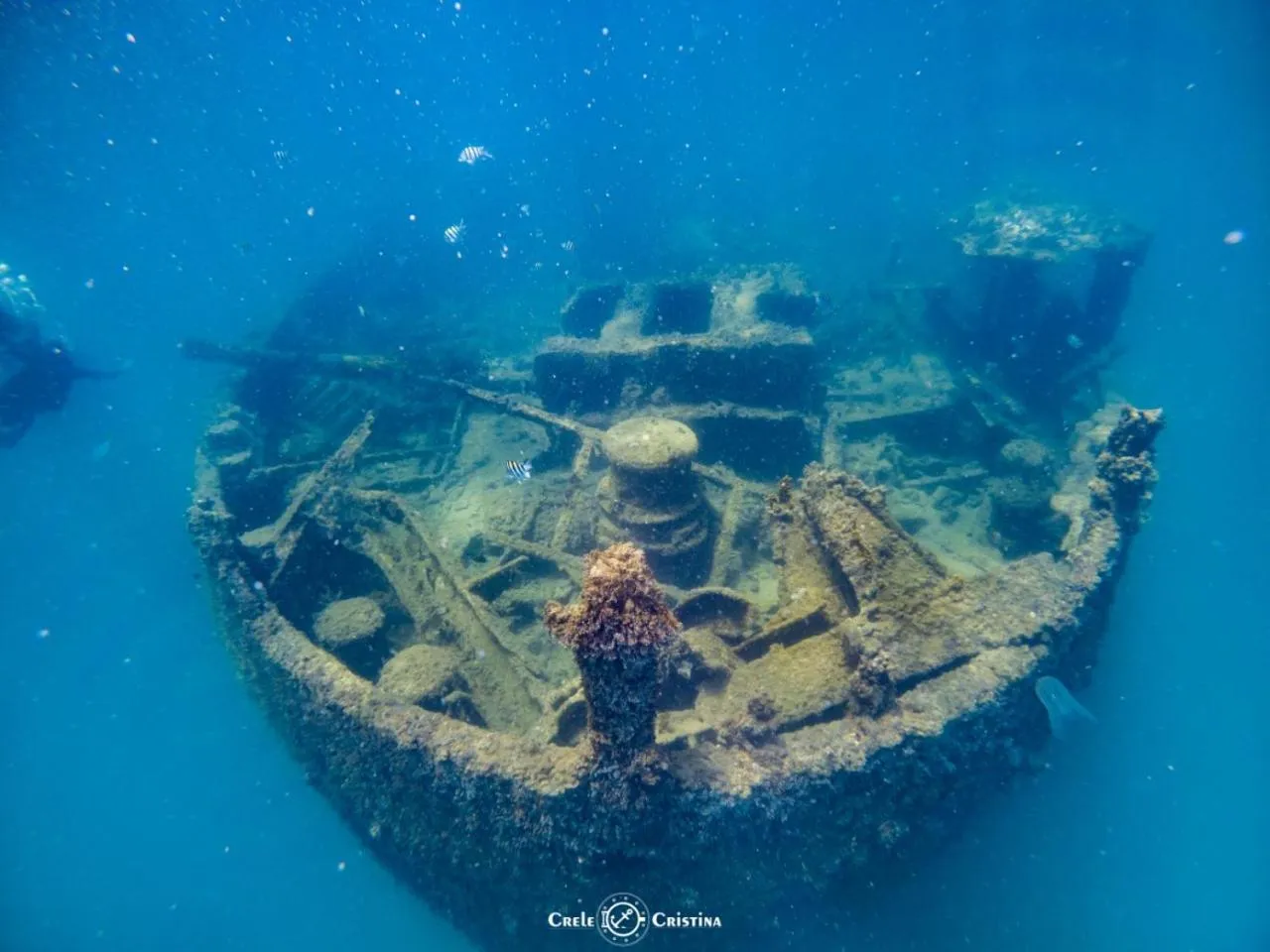 Diving in Pousada Beach Bahia