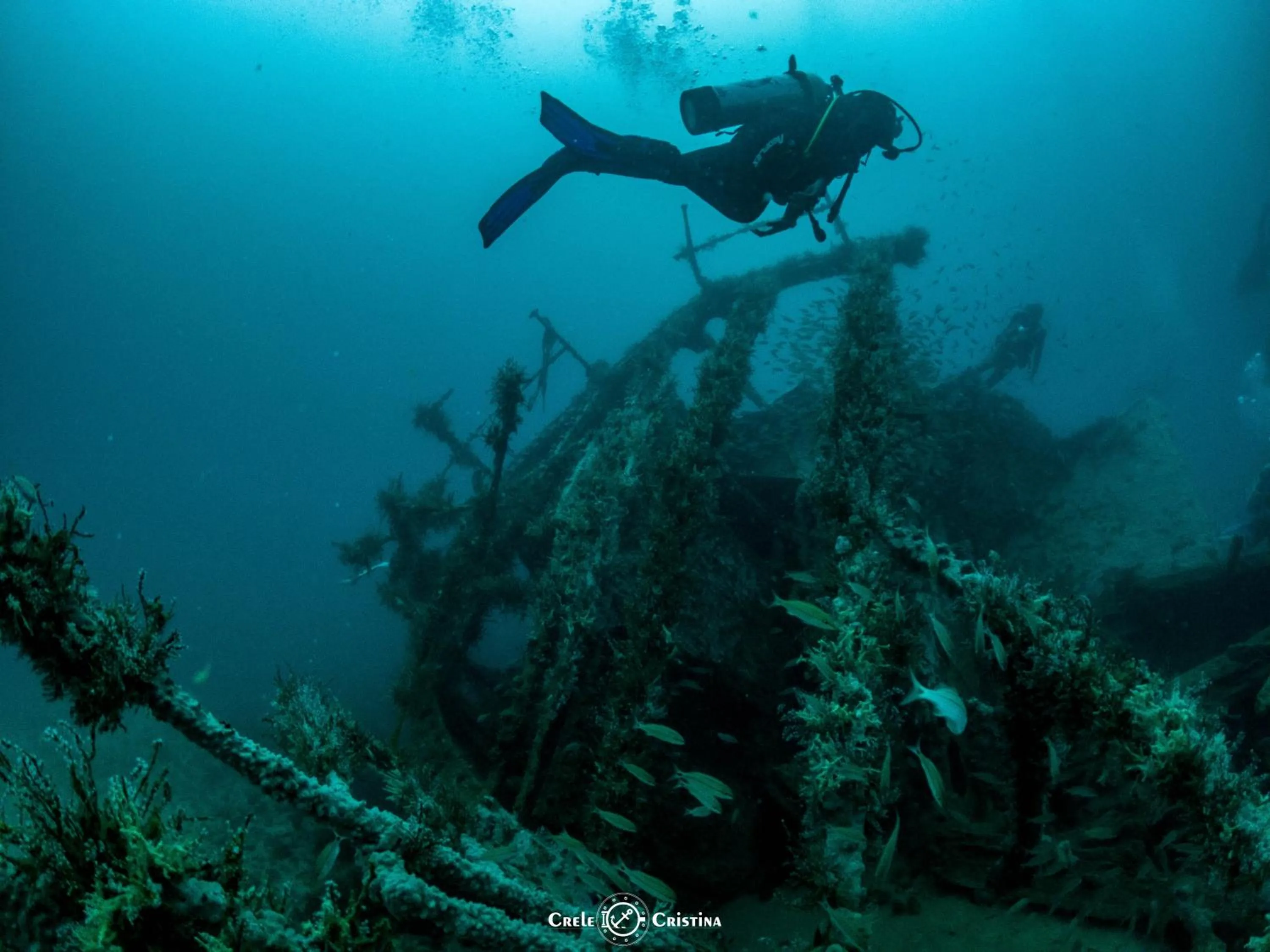 Diving in Pousada Beach Bahia