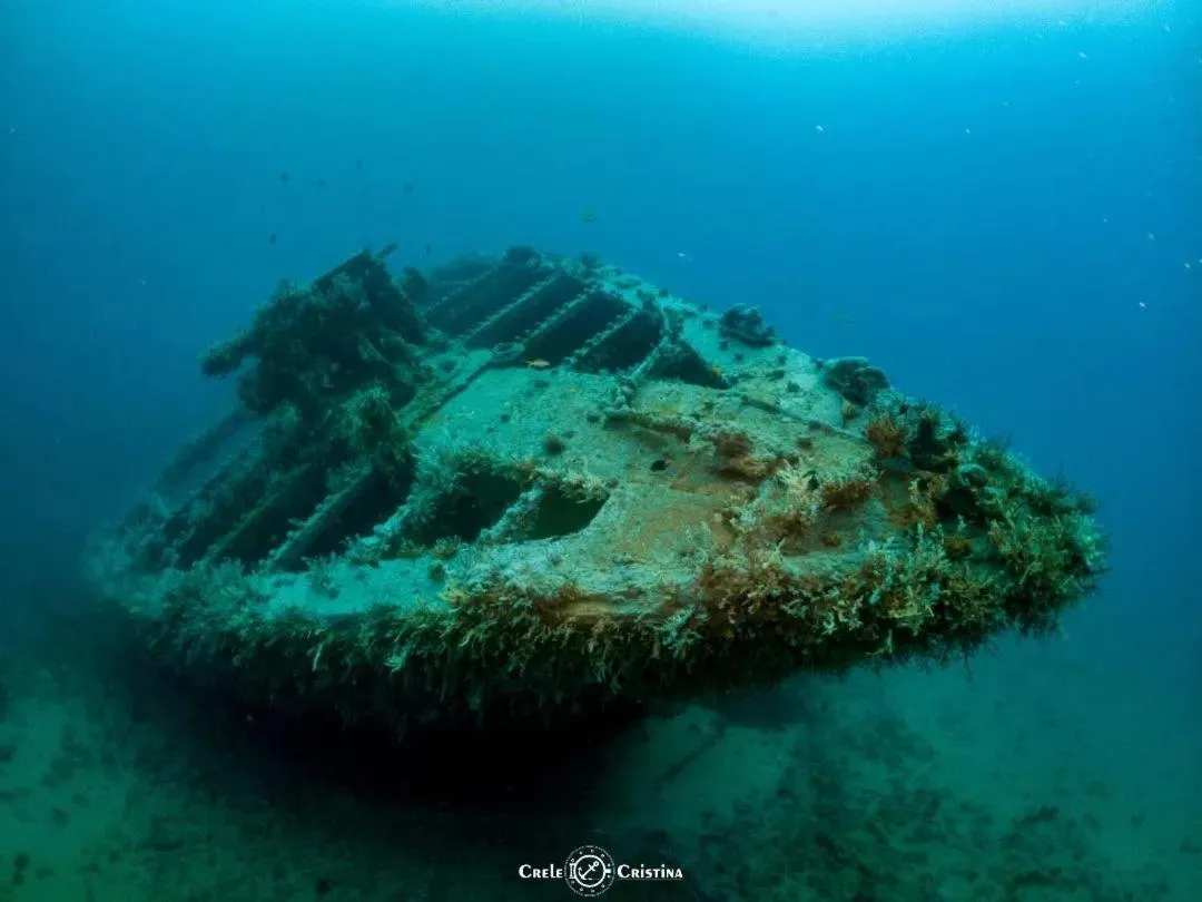 Diving in Pousada Beach Bahia