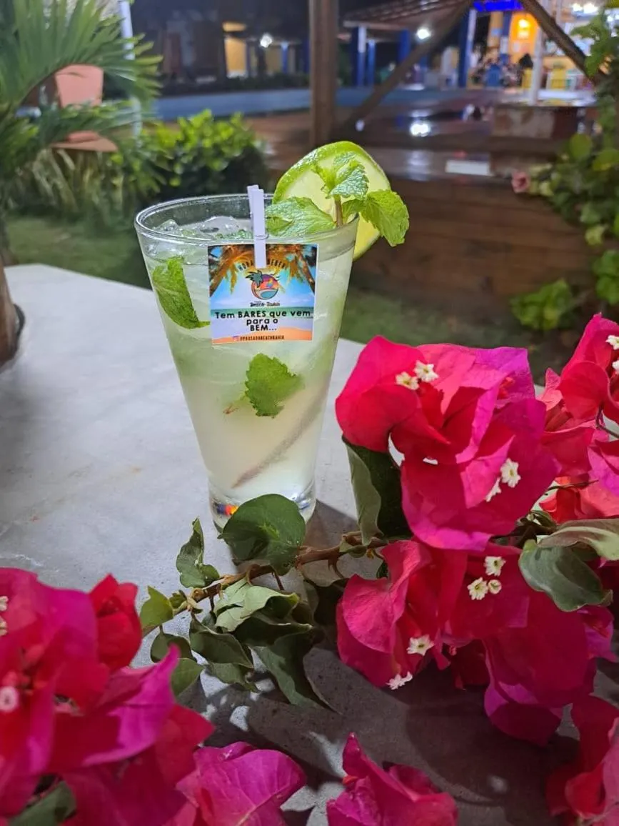 Lounge or bar in Pousada Beach Bahia