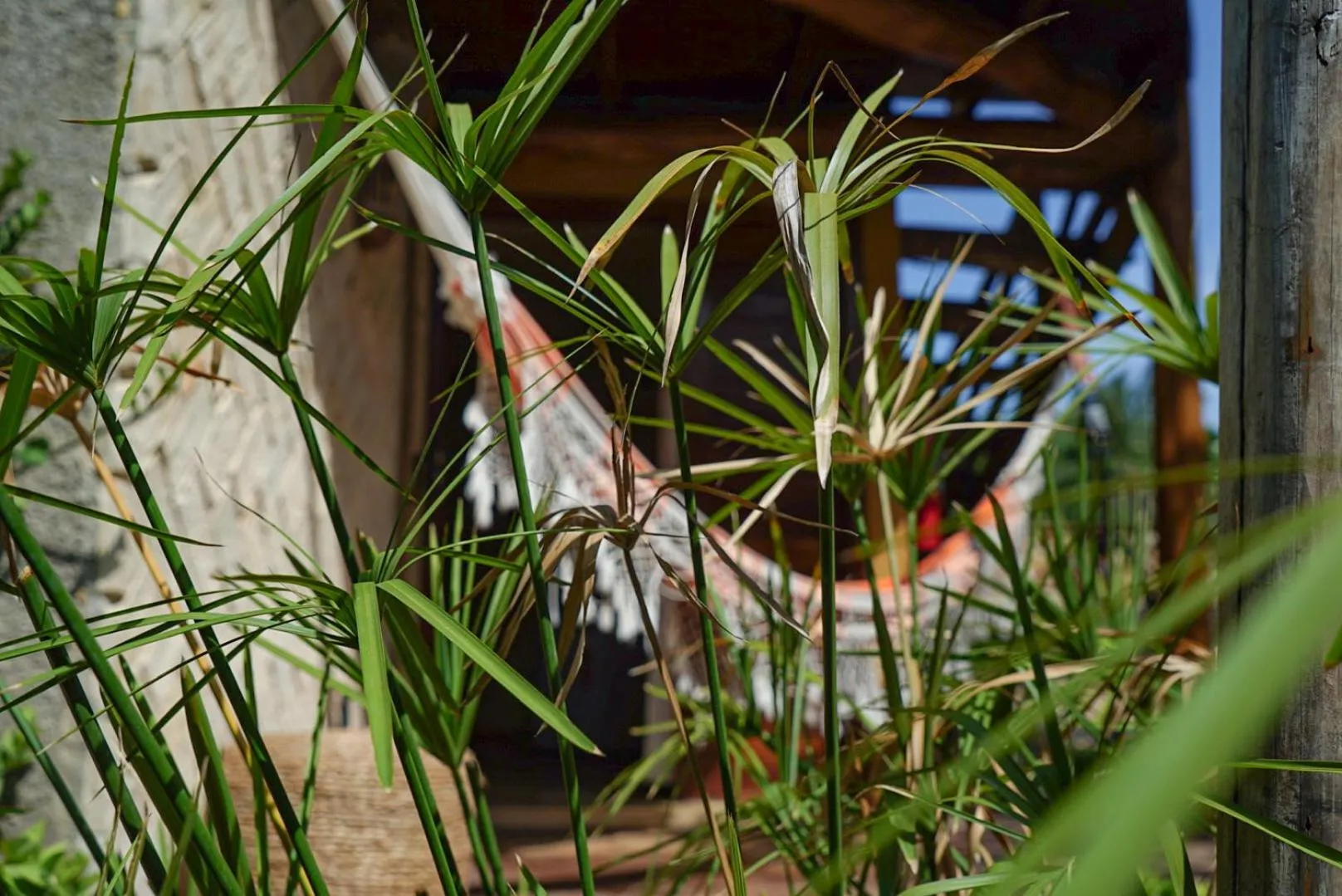 Pousada Rota dos Ventos
