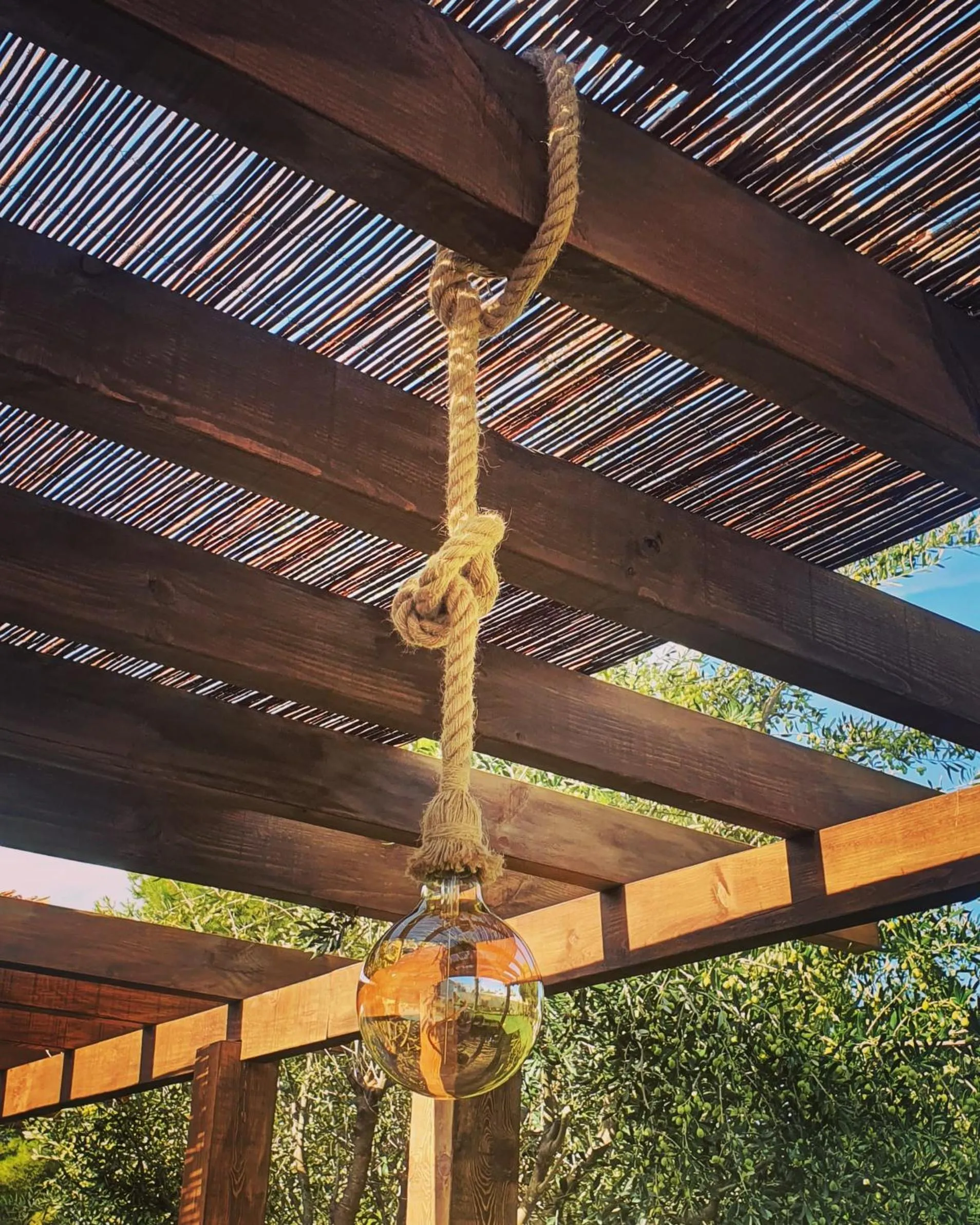 Garden in ZENIA HOSTEL