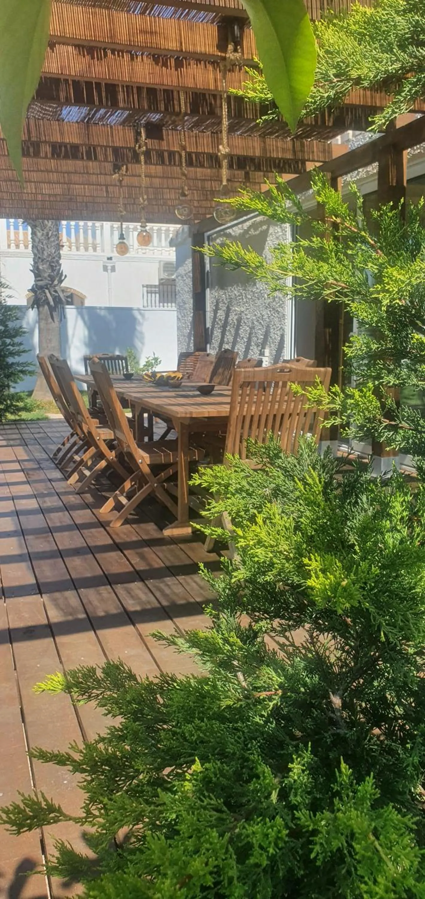 Patio in ZENIA HOSTEL