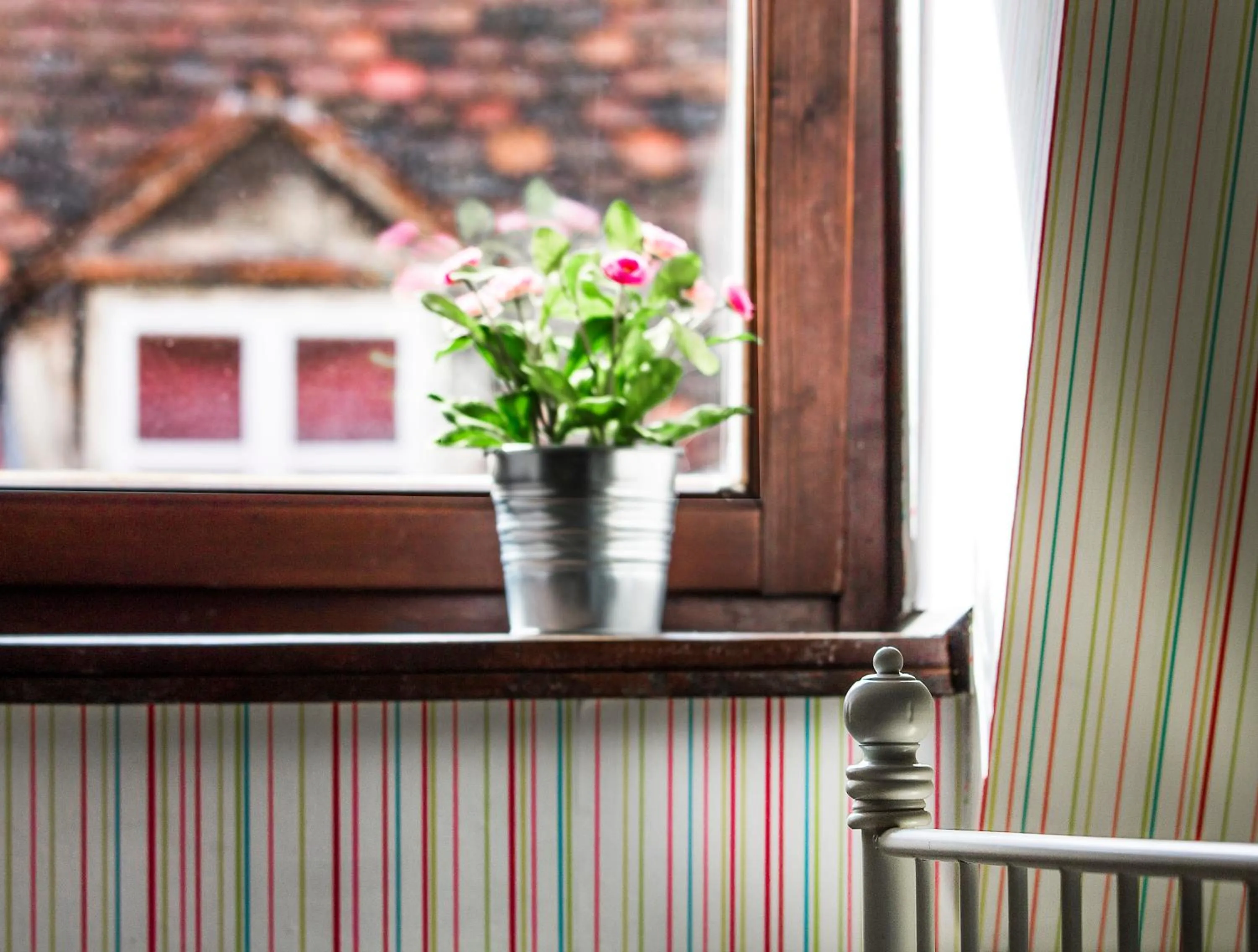 Decorative detail in Hostel Centar