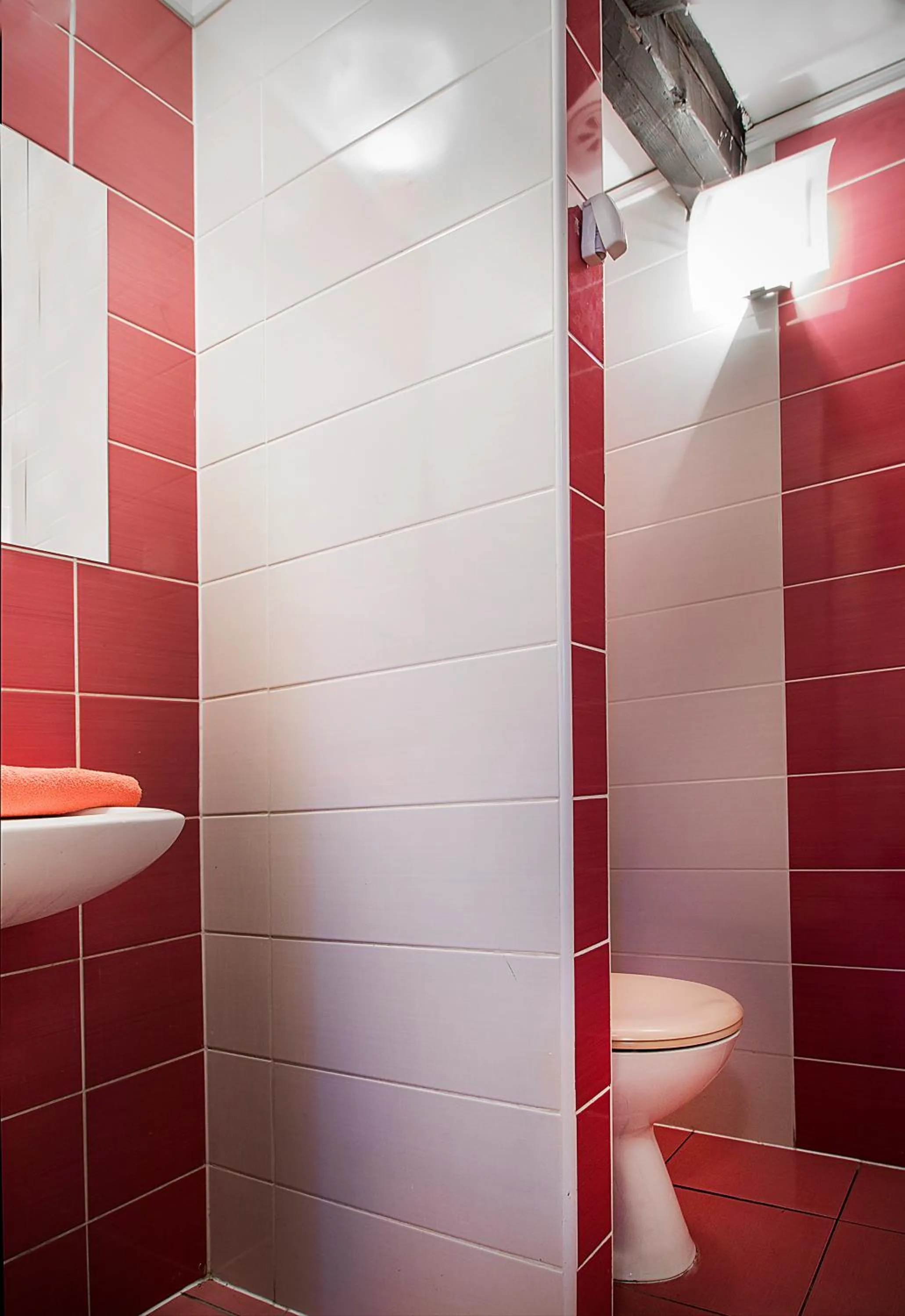 Toilet in Hostel Centar