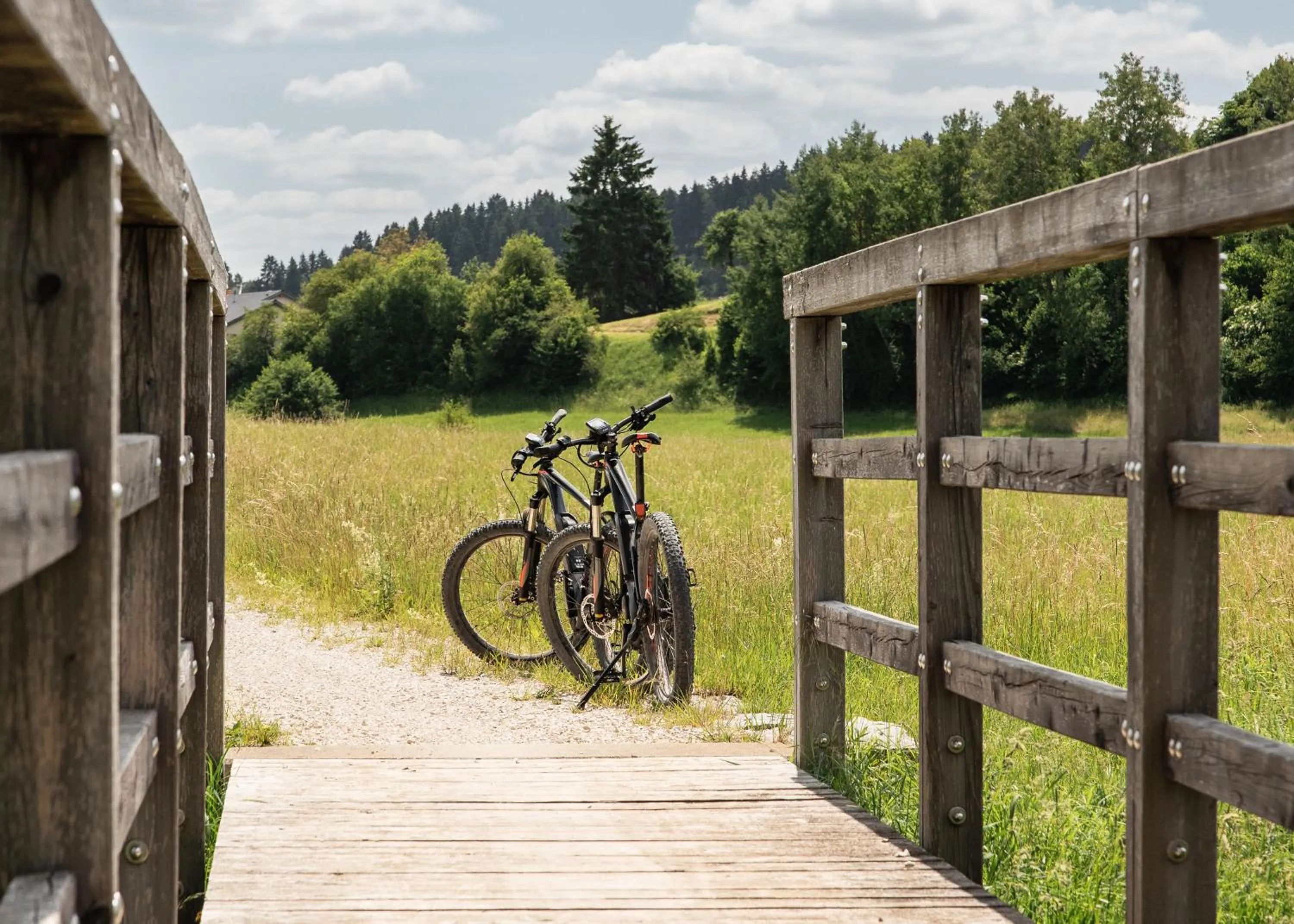 Cycling in Gutshofhotel Winkler Bräu