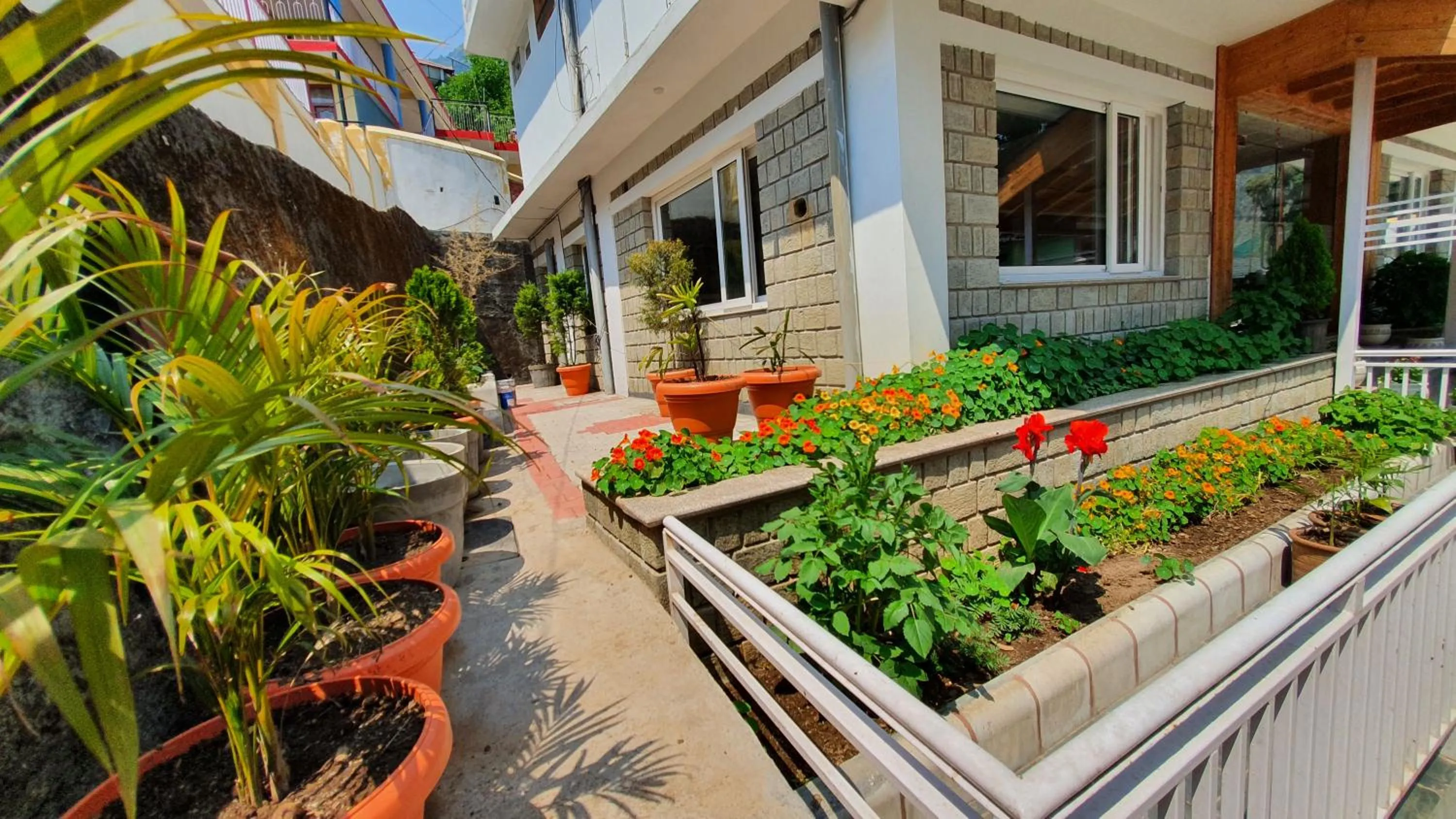 Garden in Nomadic Inn