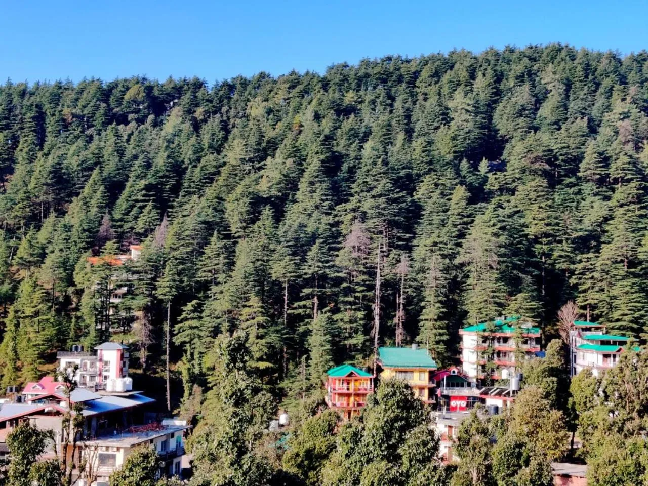Bird's eye view in Nomadic Inn