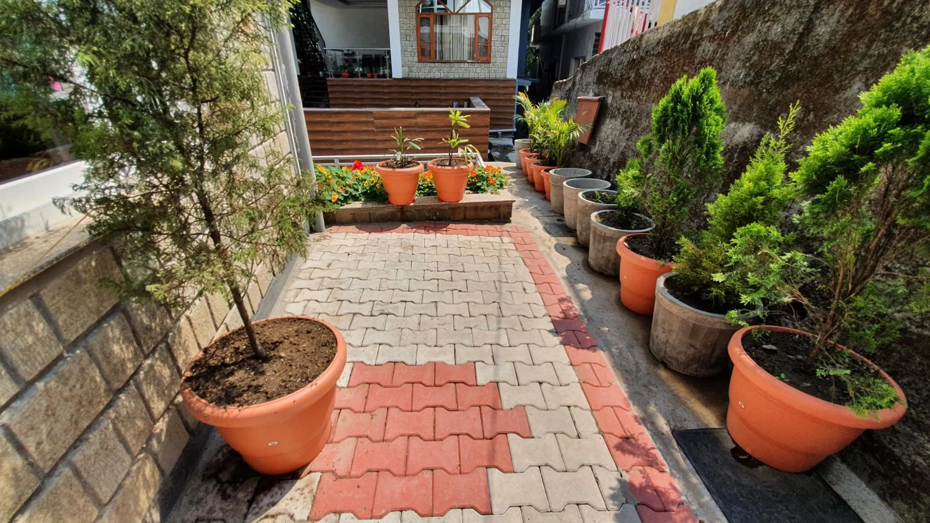 Garden in Nomadic Inn