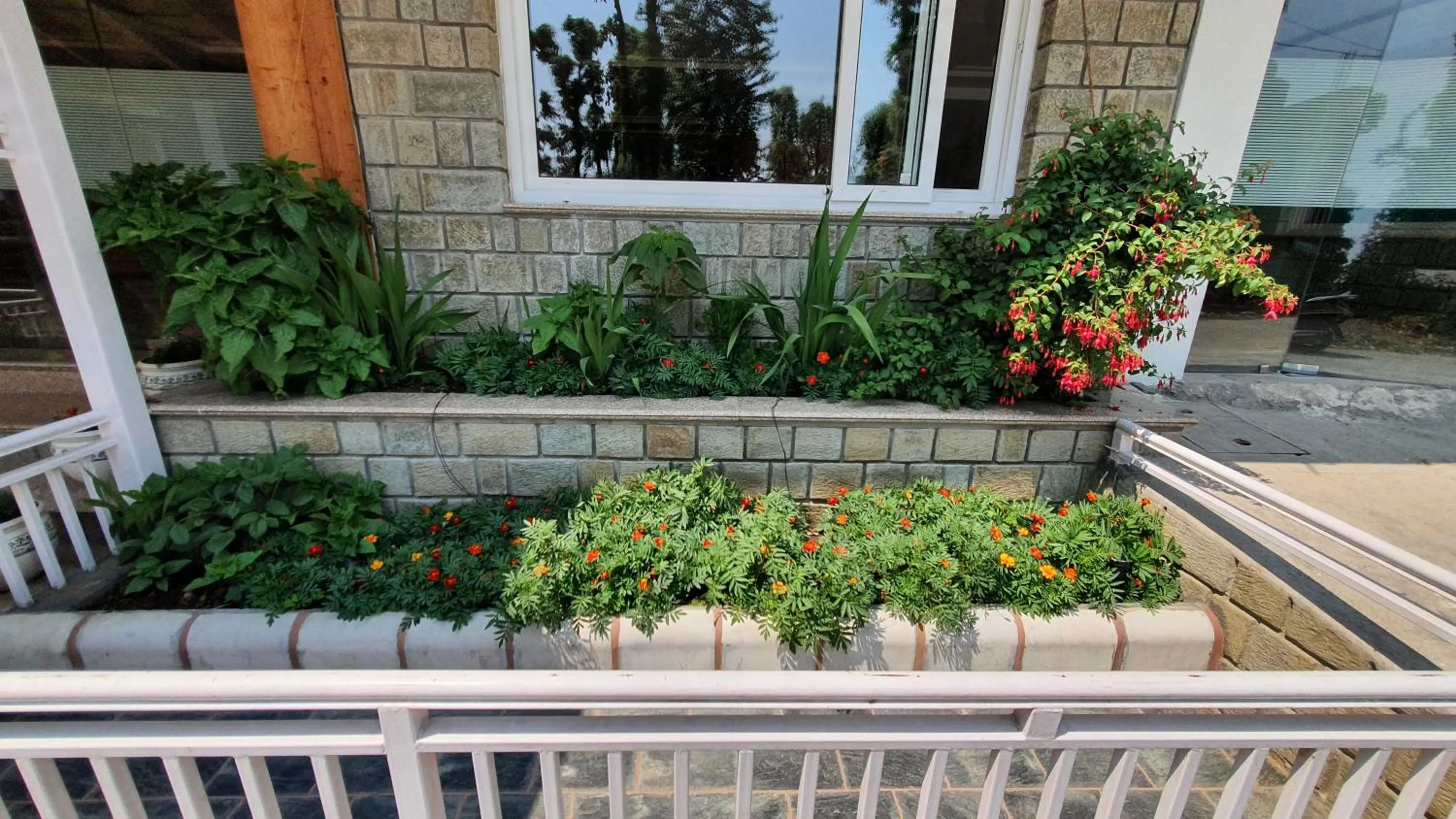 Garden in Nomadic Inn