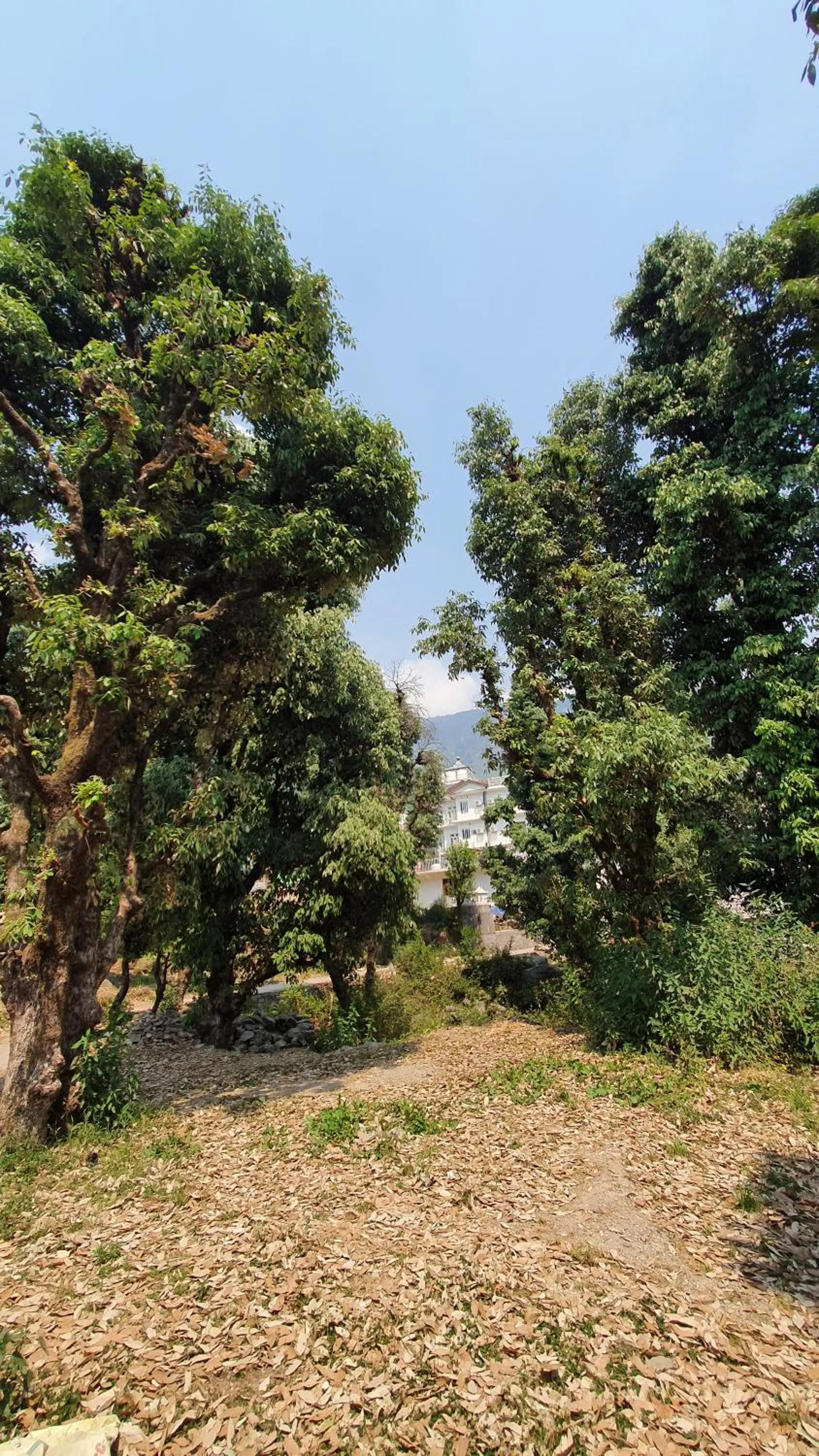 Garden view in Nomadic Inn