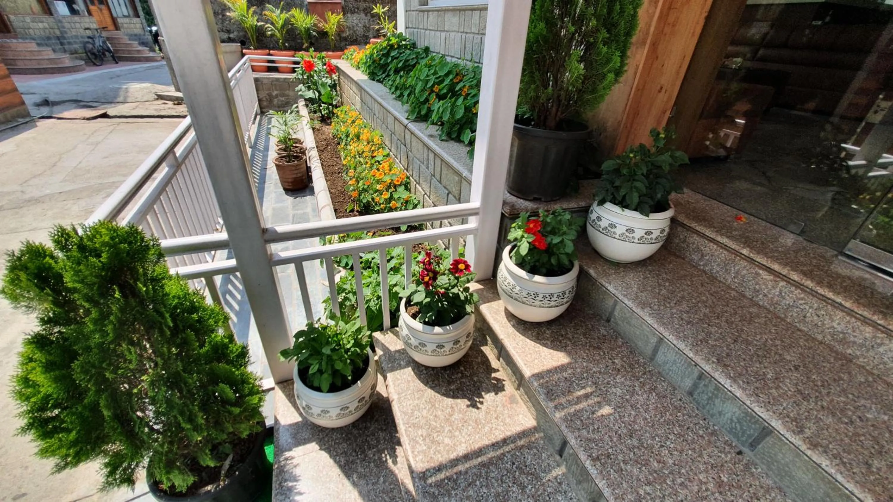 Garden in Nomadic Inn