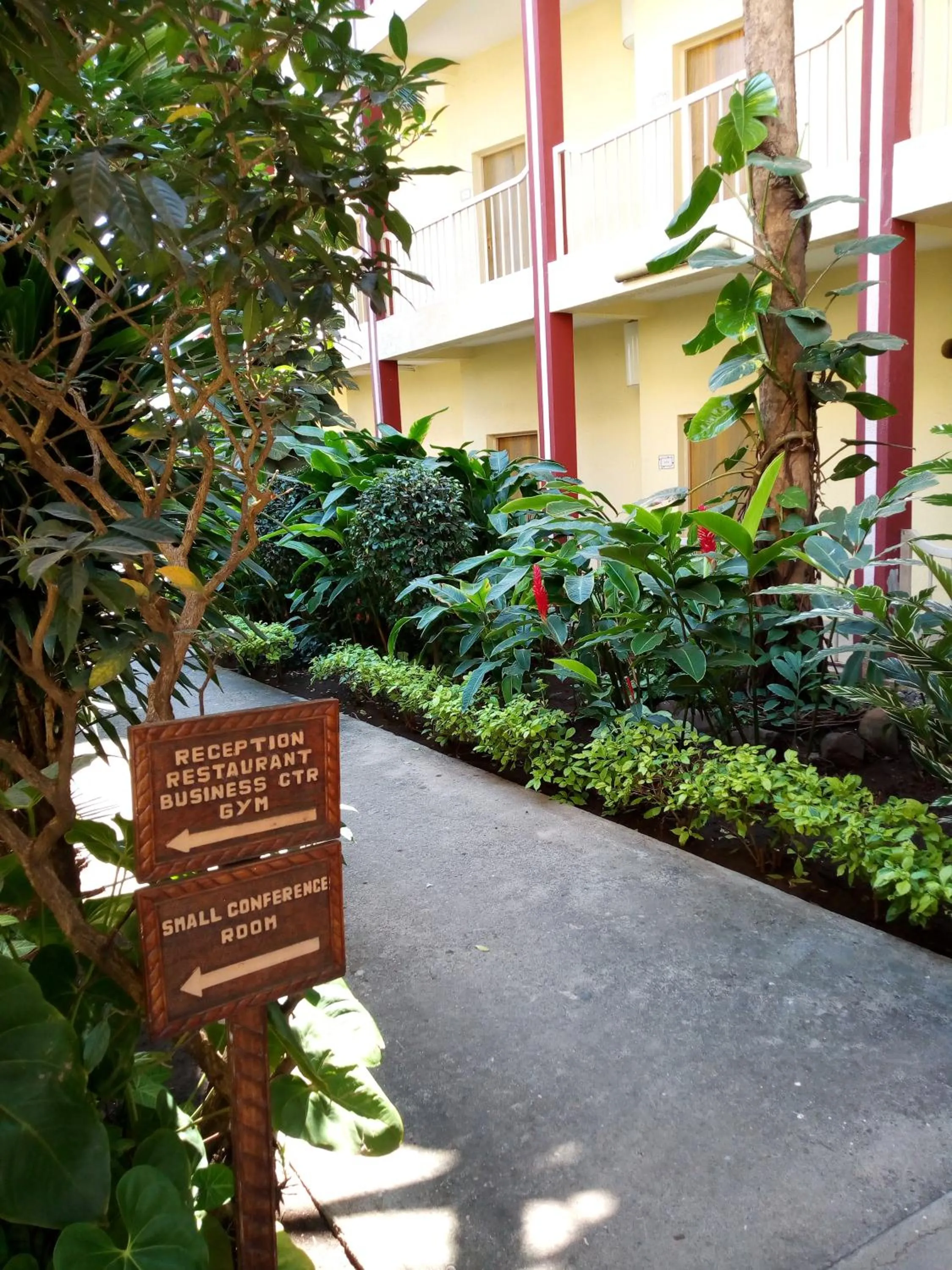 Garden in KING'S CONFERENCE CENTRE