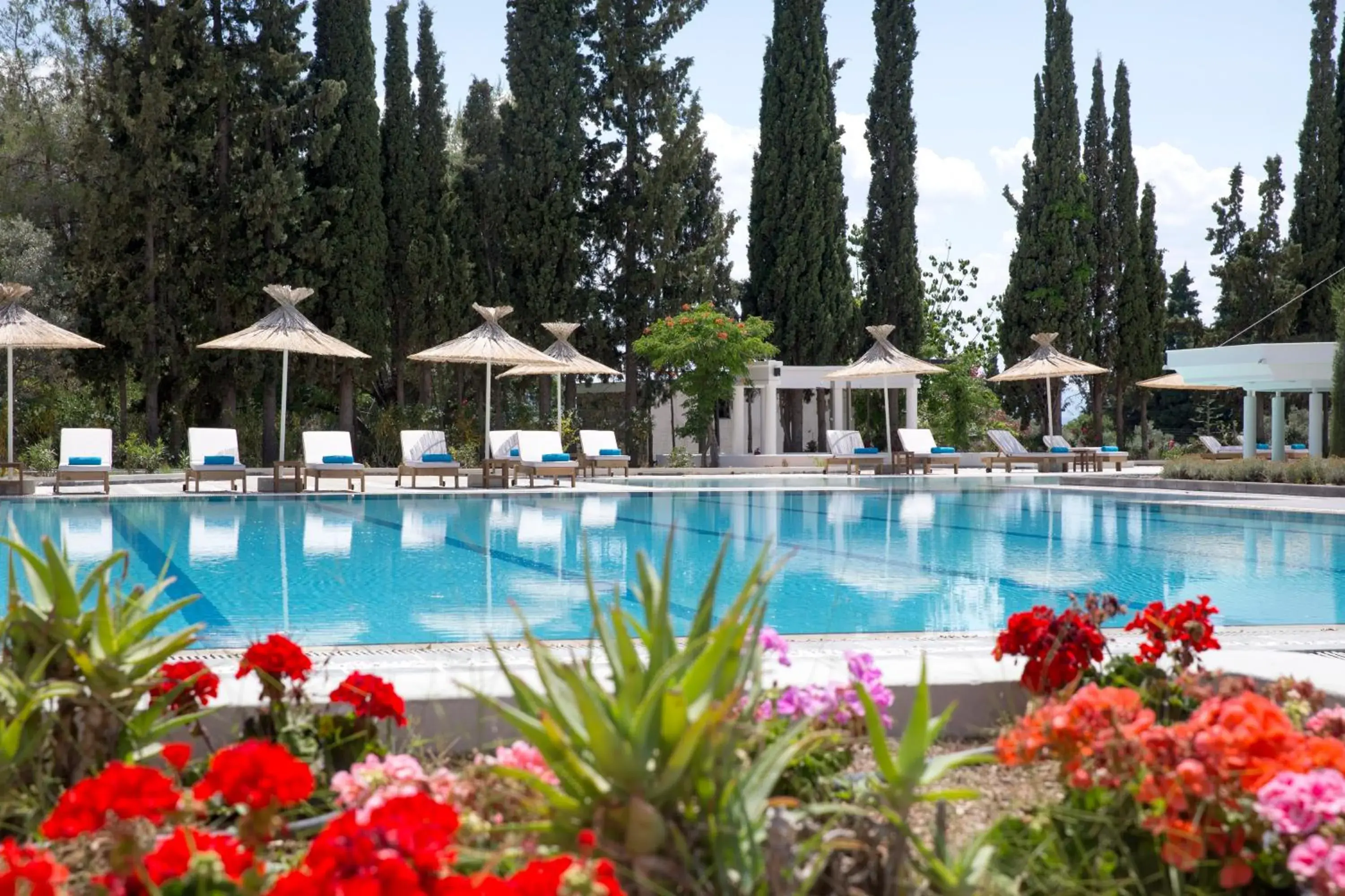 Swimming pool in Eretria Hotel & Spa Resort Swimming pool in Eretria Hotel & Spa Resort