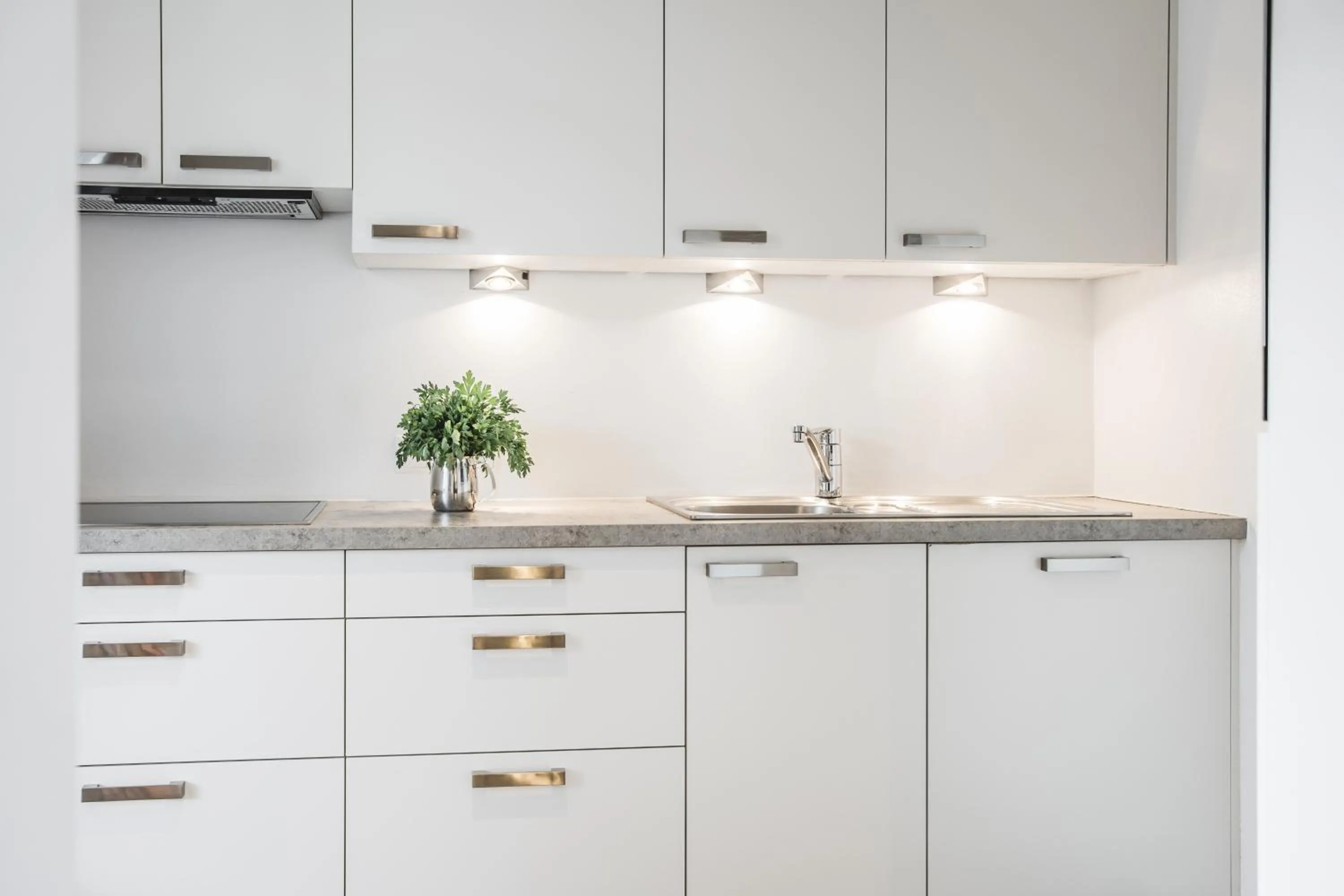 Kitchen or kitchenette in Villa Martiner Apartments Francesco