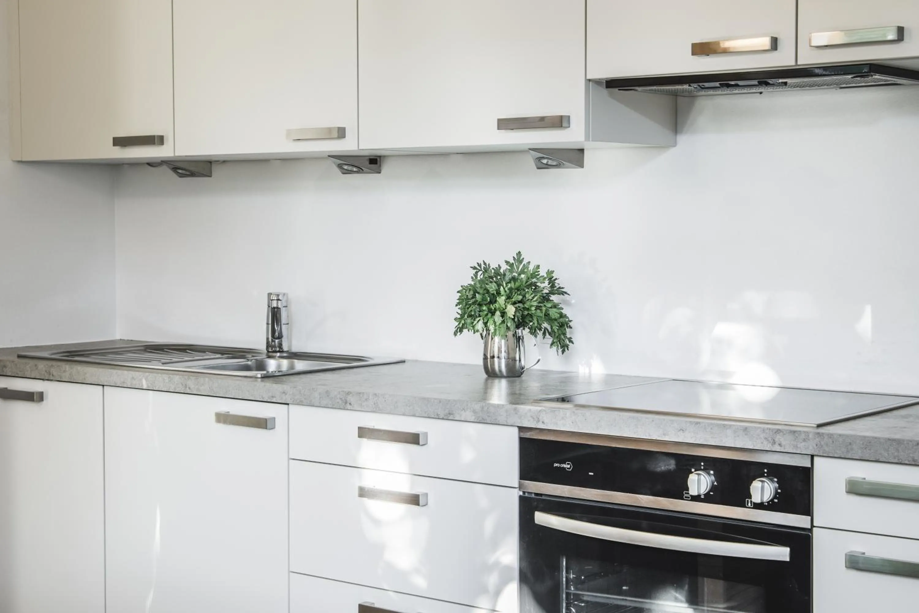Kitchen or kitchenette in Villa Martiner Apartments Francesco