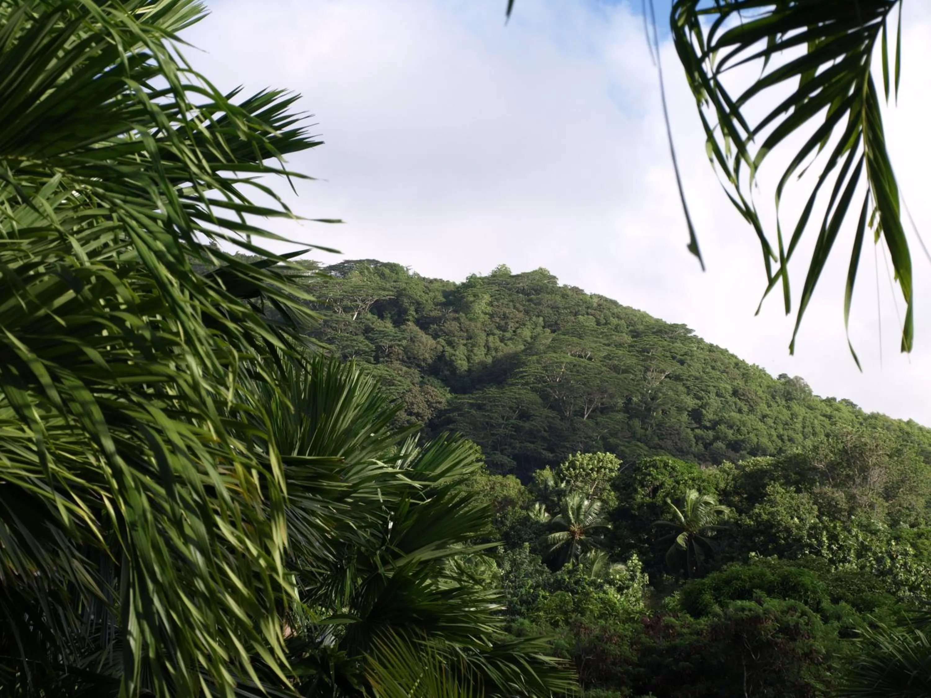 Mountain view in Castaway Lodge