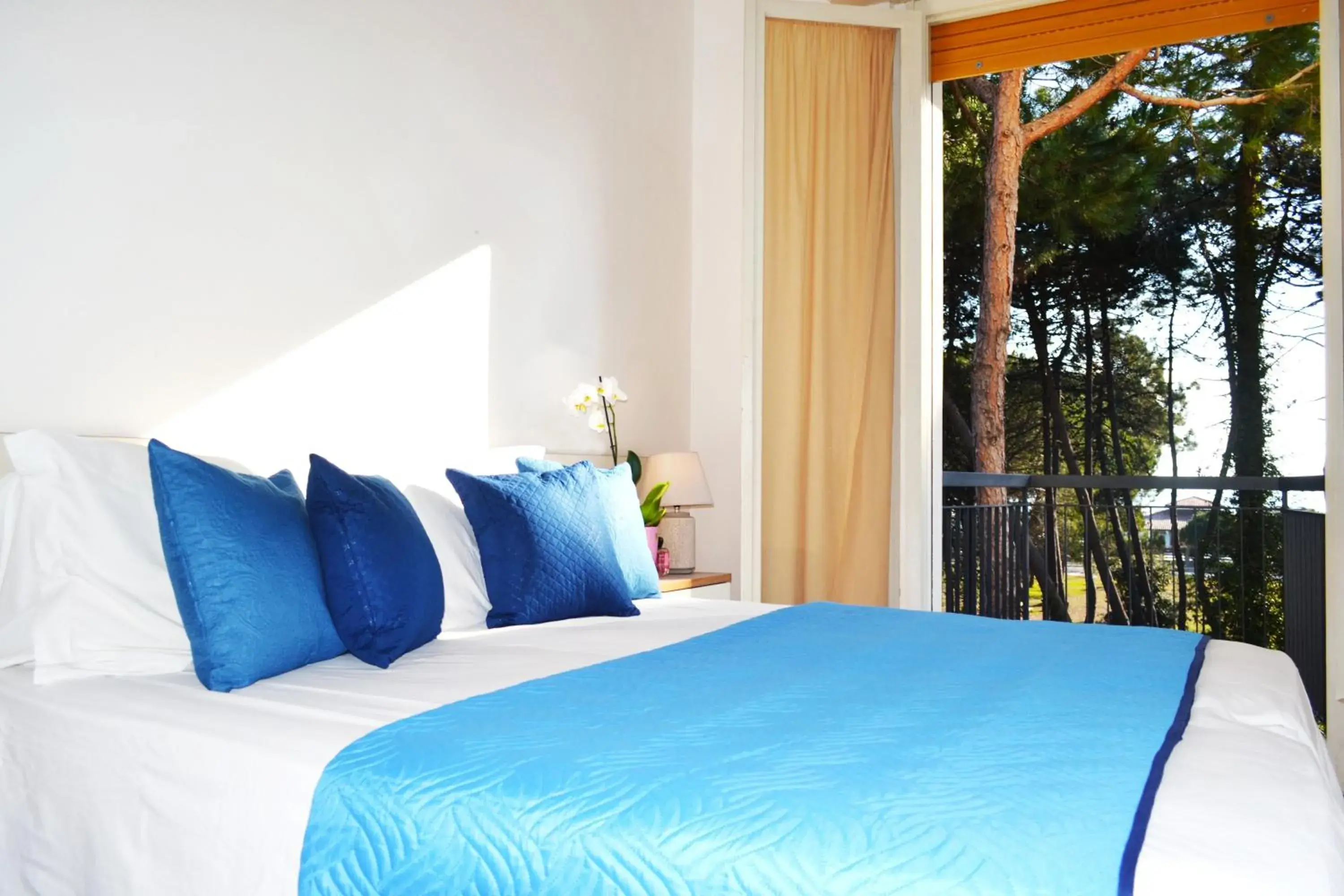 Double or Twin Room - single occupancy in Hotel Elefantino Grey - Free Brunch & Breakfast Until 13-00 - Vicinissimi a Mirabilandia Double or Twin Room - single occupancy in Hotel Elefantino Grey - Free Brunch & Breakfast Until 13-00 - Vicinissimi a Mirabilandia