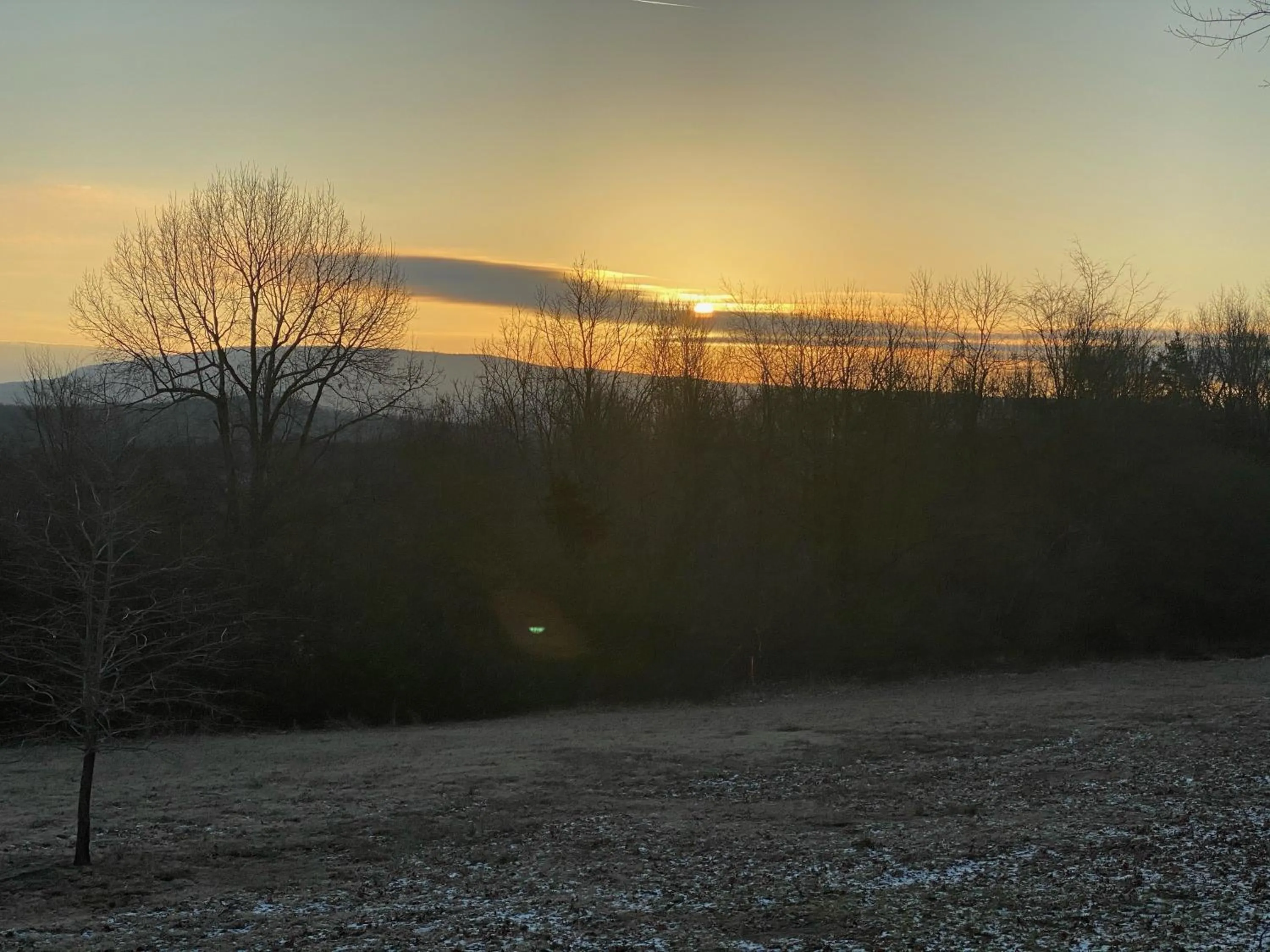 Mountain view in Mountain View Guest Motel