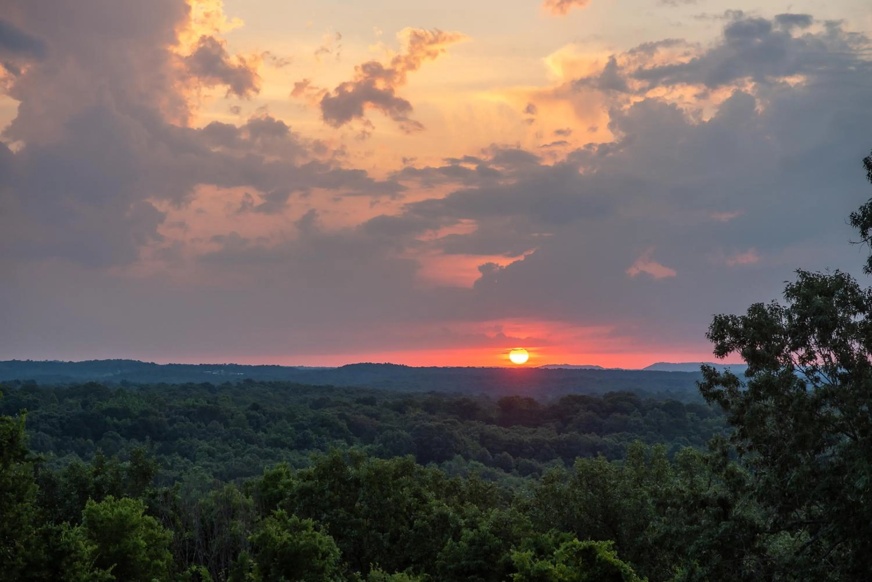 View (from property/room) in Mountain View Guest Motel